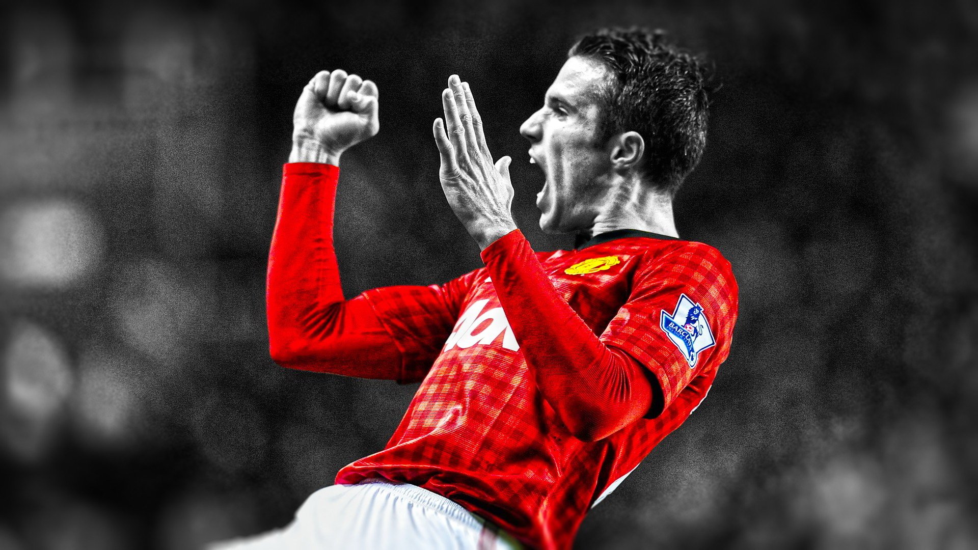 Robin Van Persie HD Wallpaper