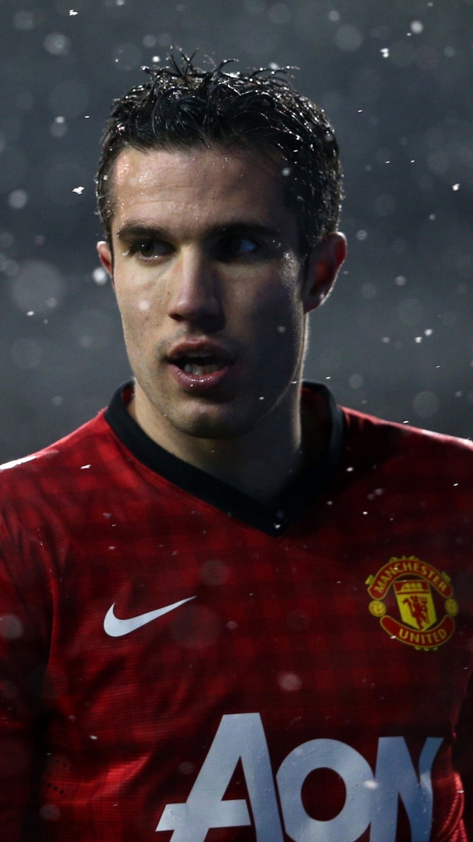 Wallpaper Robin Van Persie, Dutch Footballer, Manchester Van Persie