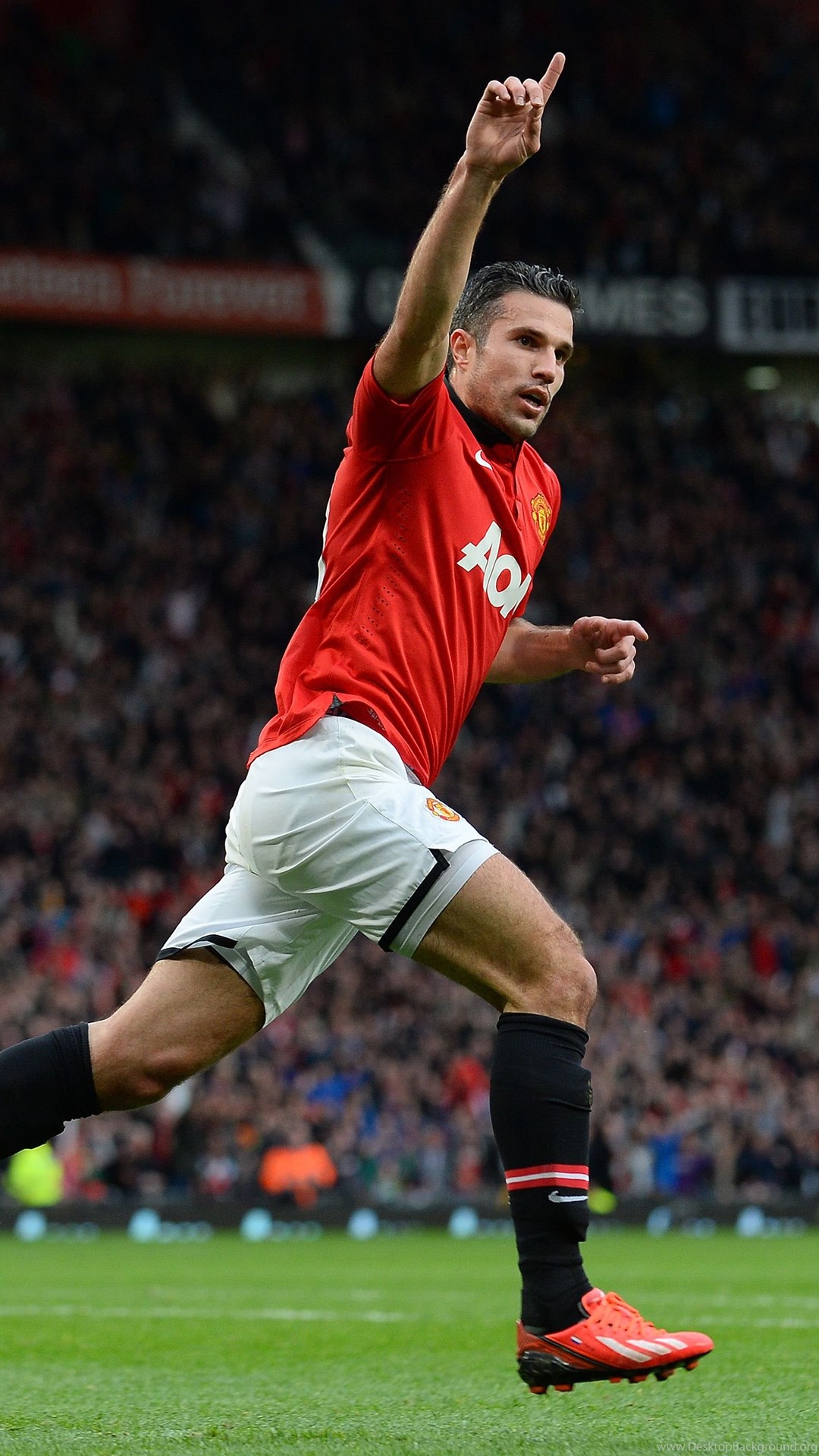 Robin Van Persie Goal Celebration Wallpaper. Desktop Background