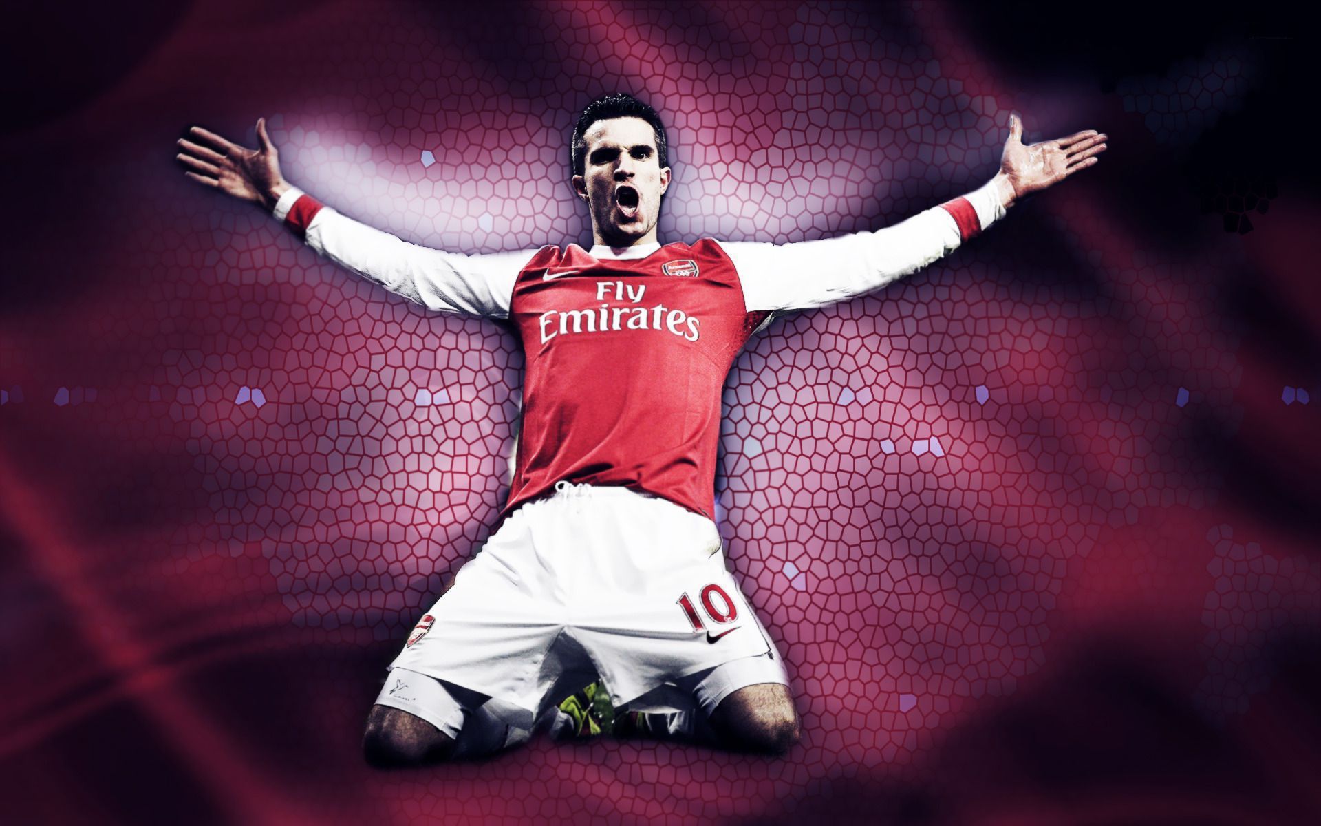 1920x1200 robin van persie windows wallpaper