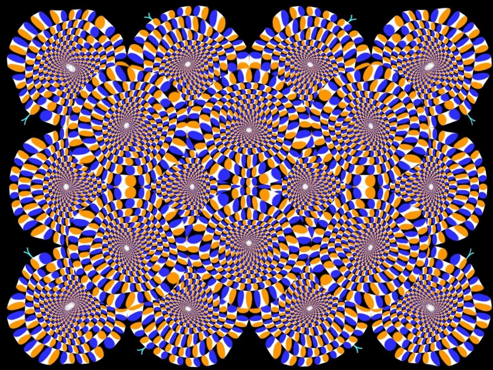 Optical illusion wallpaper, Optical illusions, Trippy wallpaper