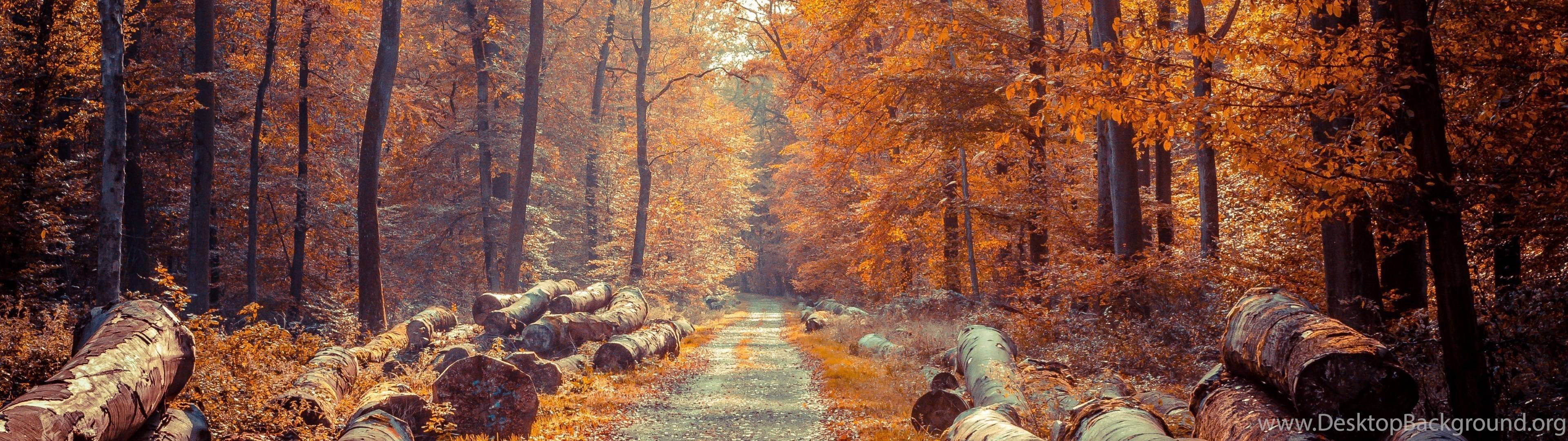 3840 X 1080 Autumn Wallpapers