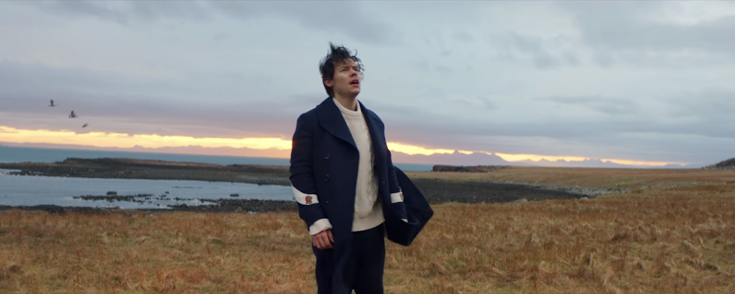 Harry Styles Premieres His First Ever Solo Music Video