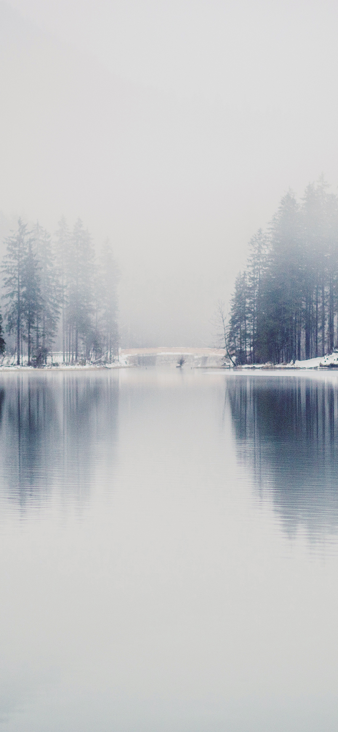 iPhone X wallpaper. winter lake white blue wood nature fog