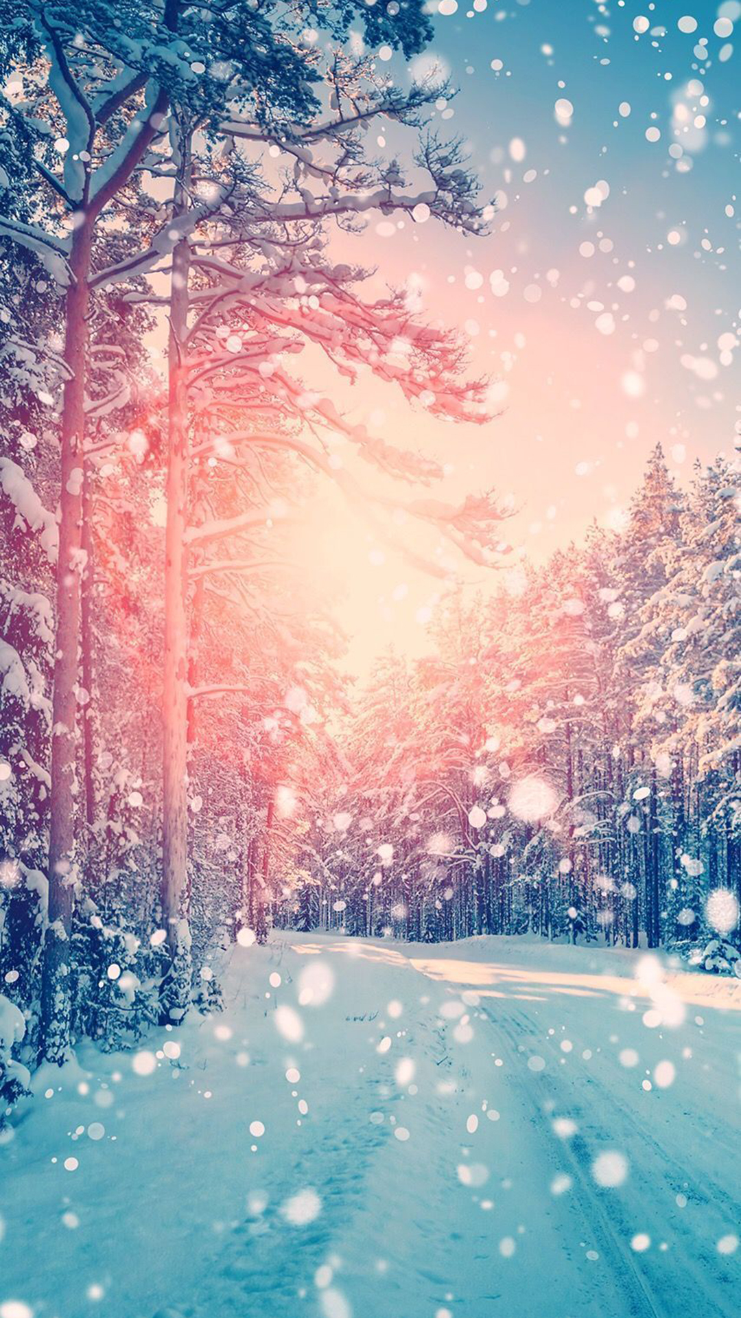 Cute Winter Wallpaper iPhone