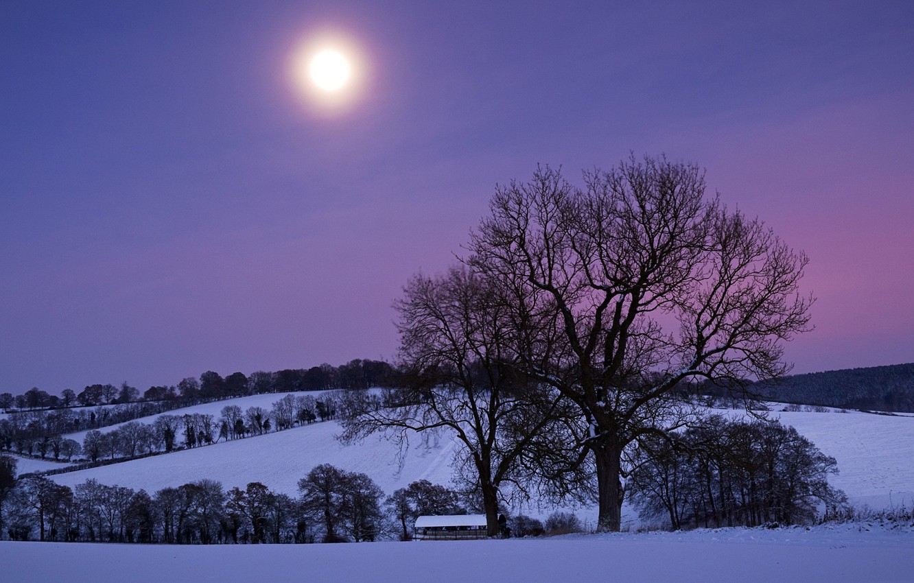 Wallpapers the sky, snow, trees, night, the moon, Winter, hill, purple image for desktop, section природа