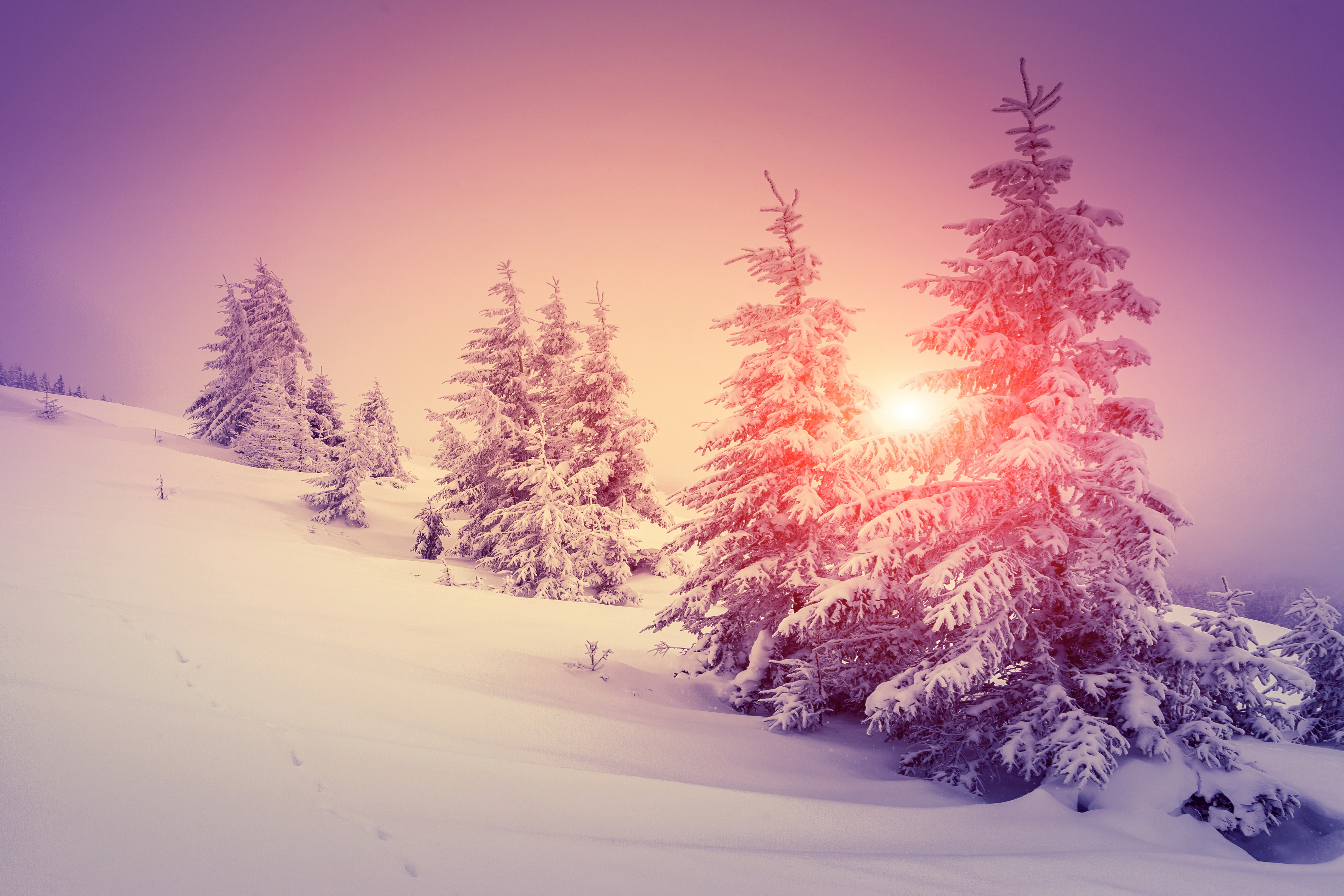 Winter Sun 4k Ultra HD Wallpapers