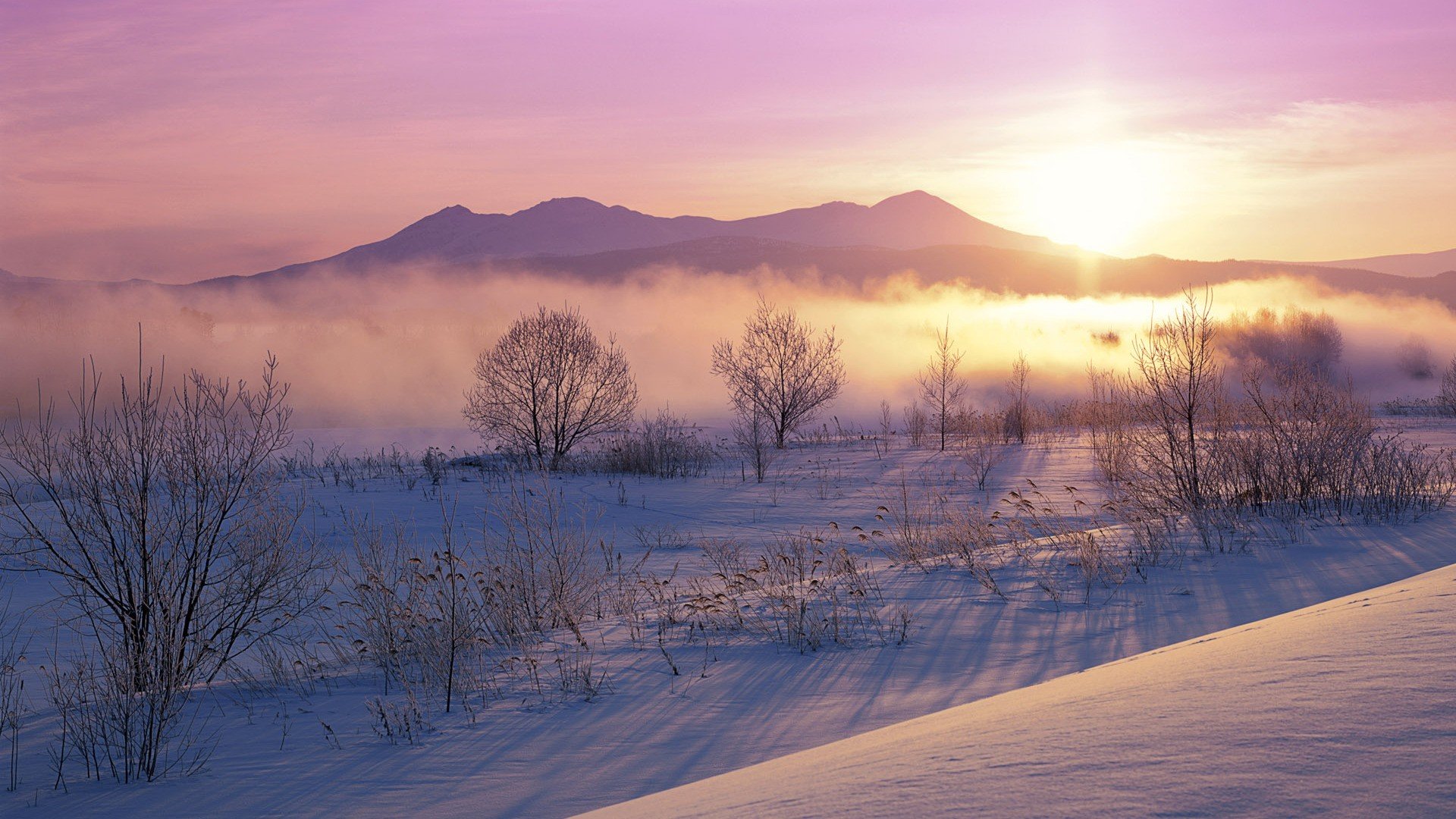 The Amazing Winter Sun Rising Ever HD wallpaper