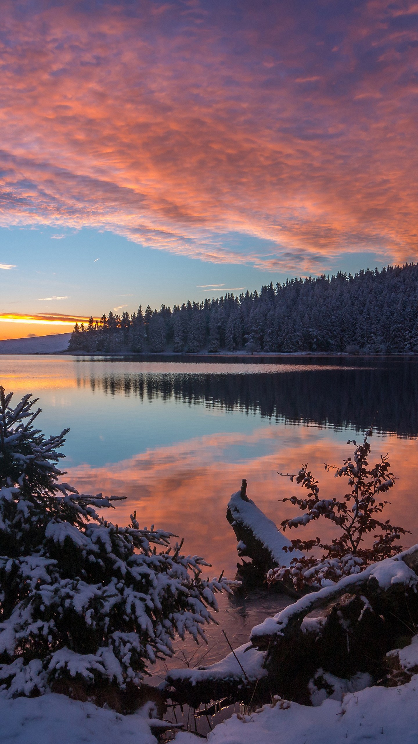 Forest With Reflection On Lake Under Sky And Snow Spruce During Sunset 4K HD Winter Wallpaper