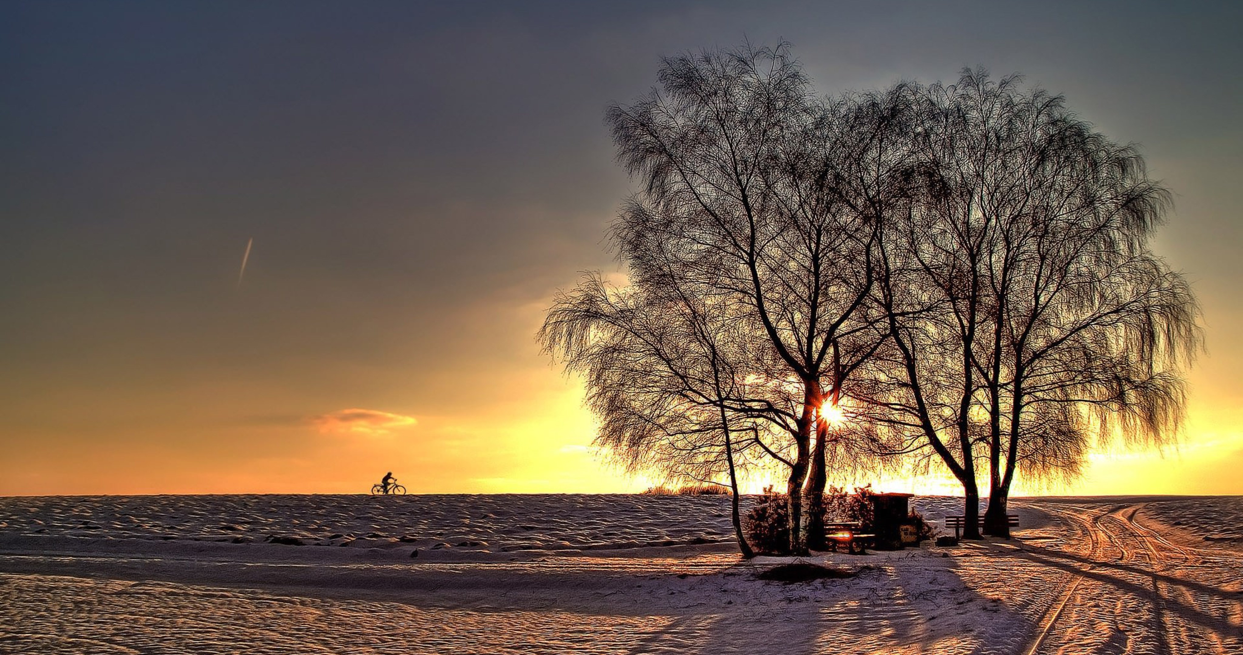 winter sun in back of tree 4k ultra hd wallpapers » High quality walls