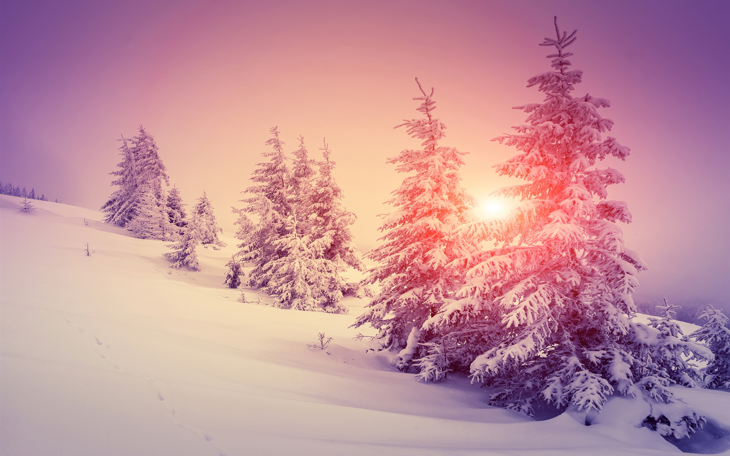 Wallpaper Thick snow, winter, forest, trees, warm sun 3840x2160 UHD 4K Picture, Image