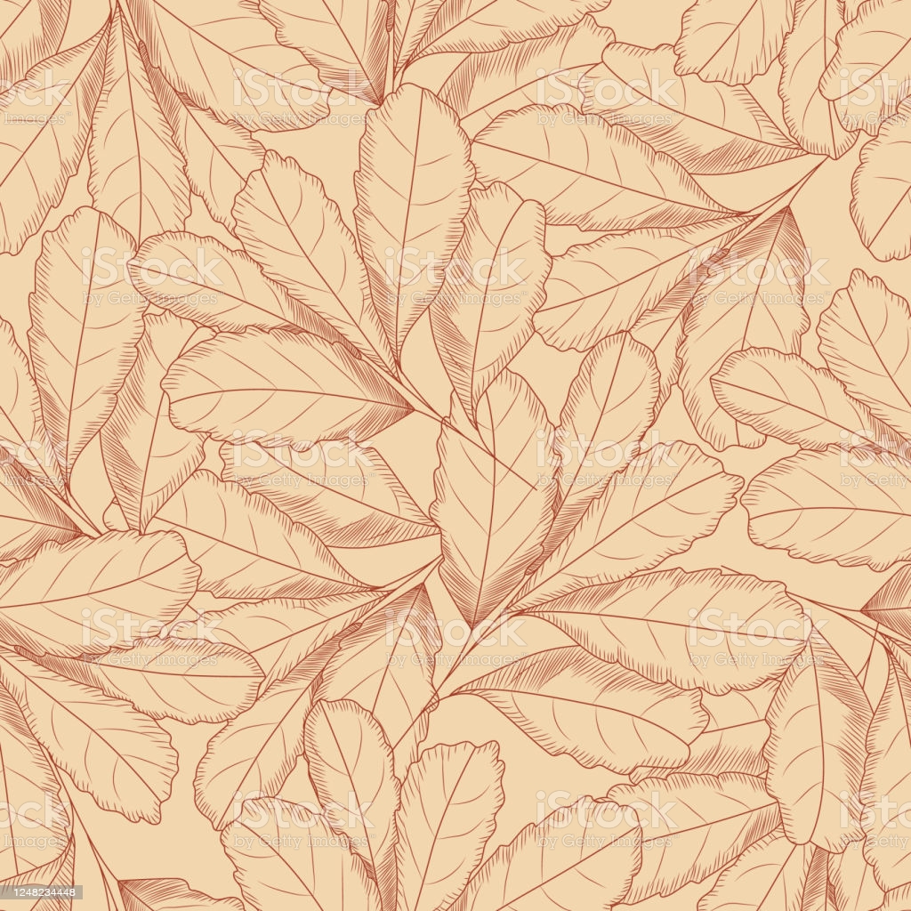 Vintage Autumn Leaf Seamless Pattern Tree Leaves Backdrop Autumn Floral Wallpaper Retro Illustration Stock Illustration Image Now