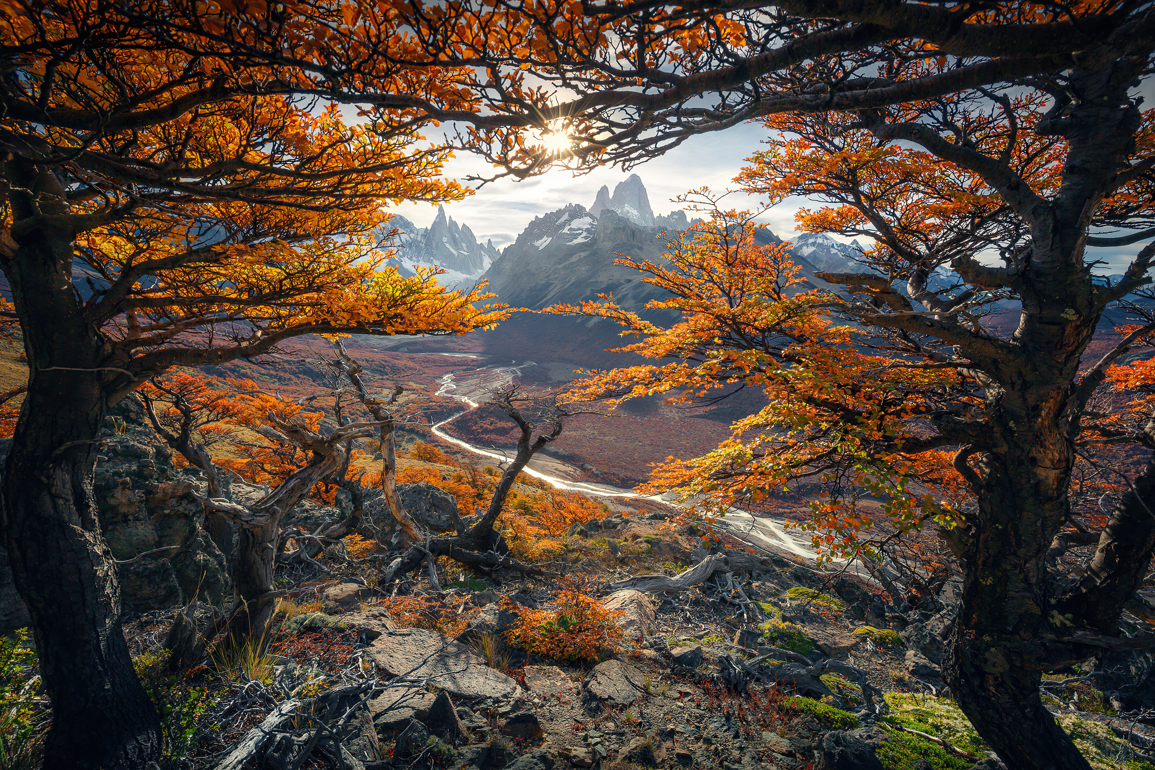 Beautiful Autumn Colours In Patagonia 4k, HD Nature, 4k Wallpaper, Image, Background, Photo and Picture