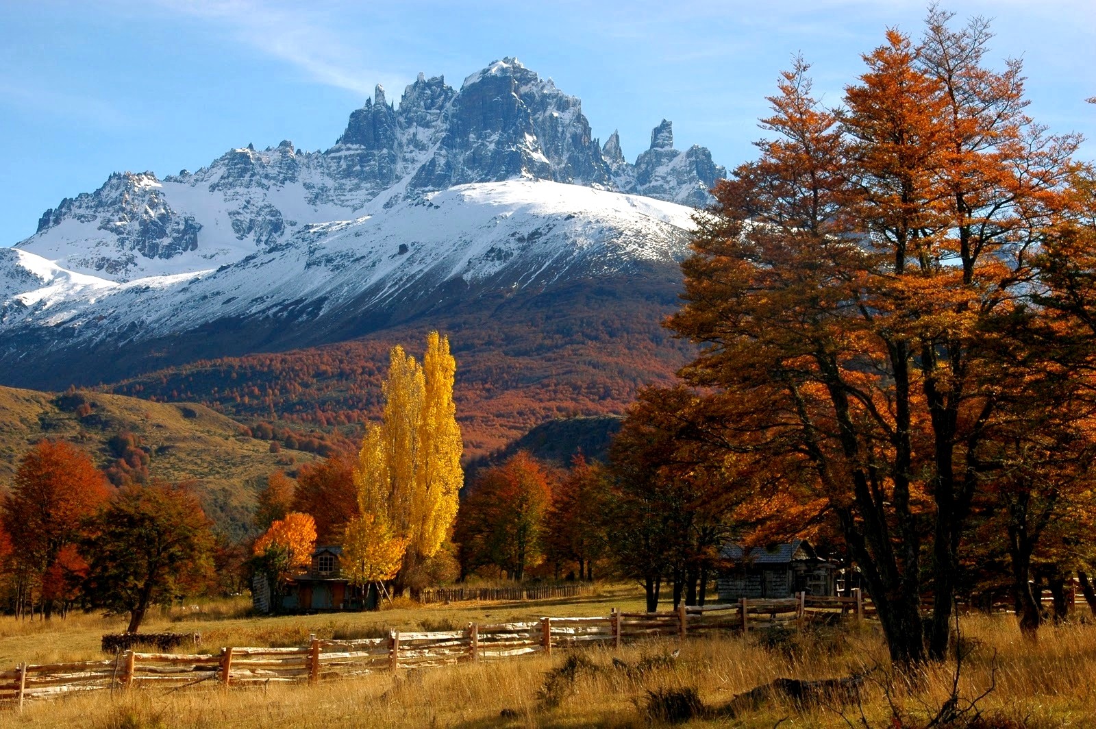 Wallpaper, trees, landscape, forest, fall, mountains, nature, reflection, grass, winter, yellow, snowy peak, orange, valley, fence, wilderness, Chile, Patagonia, cottage, plateau, tree, autumn, leaf, season, mountainous landforms, geographical feature