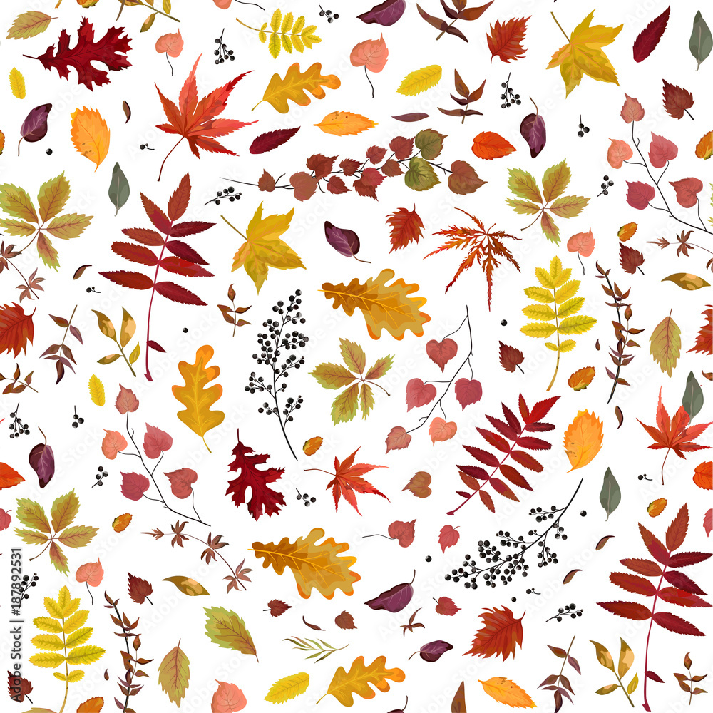 Seamless Autumn pattern Vector floral watercolor style design: orange, yellow, brown red fall forest rowan, birch, oak tree leaves and herbs. Wallpaper, background beautiful, cute, trendy bright print Stock Vector