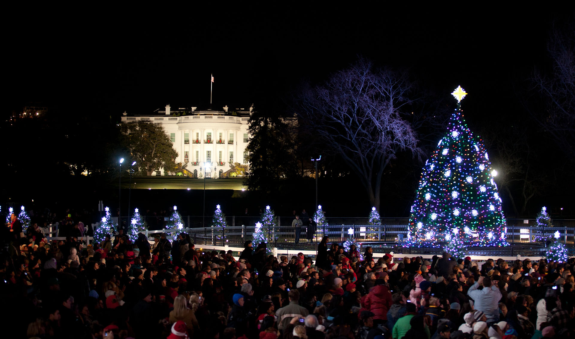 Watch Live: The 2013 National Christmas Tree Lighting