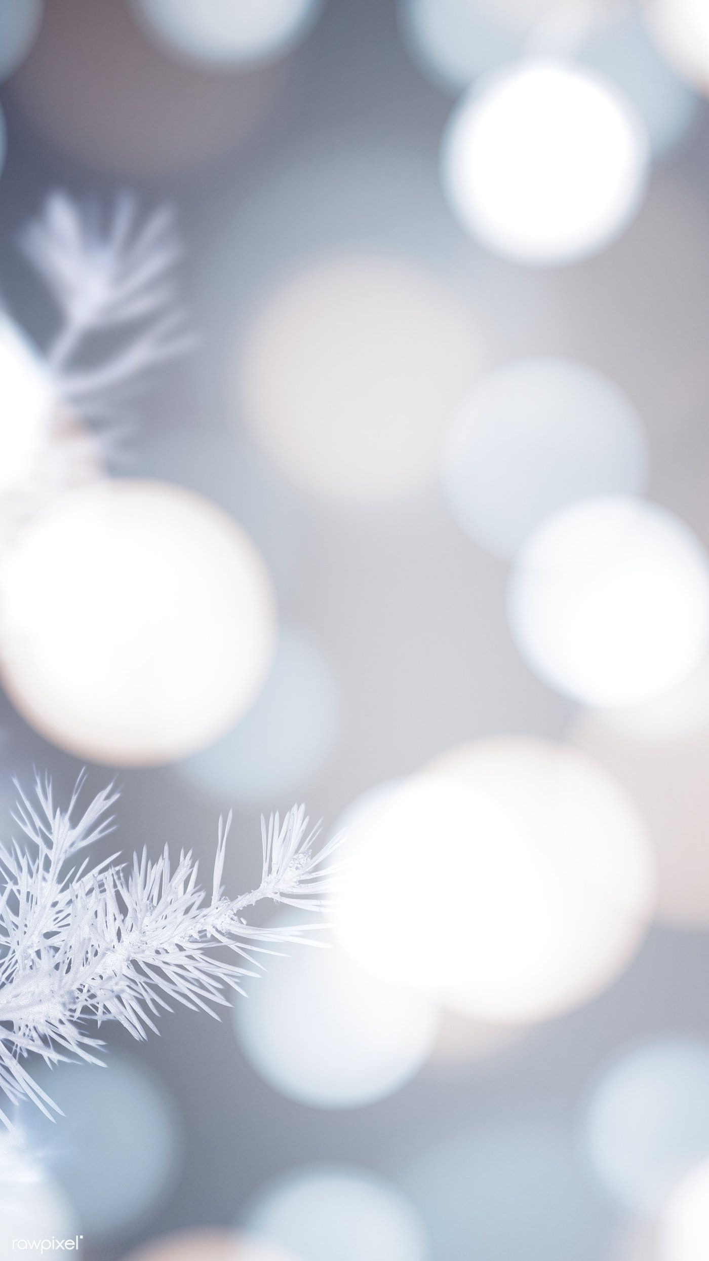 Download premium illustration of Frosty tree with white bokeh lights. Bokeh lights, Christmas lights background, Christmas wallpaper