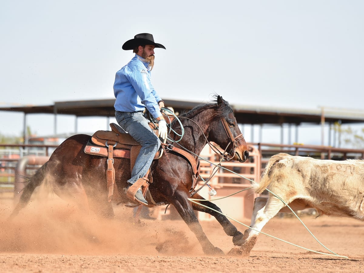 Why and How to Keep Your Heel Horse from Reading Your Throw Team Roping Journal