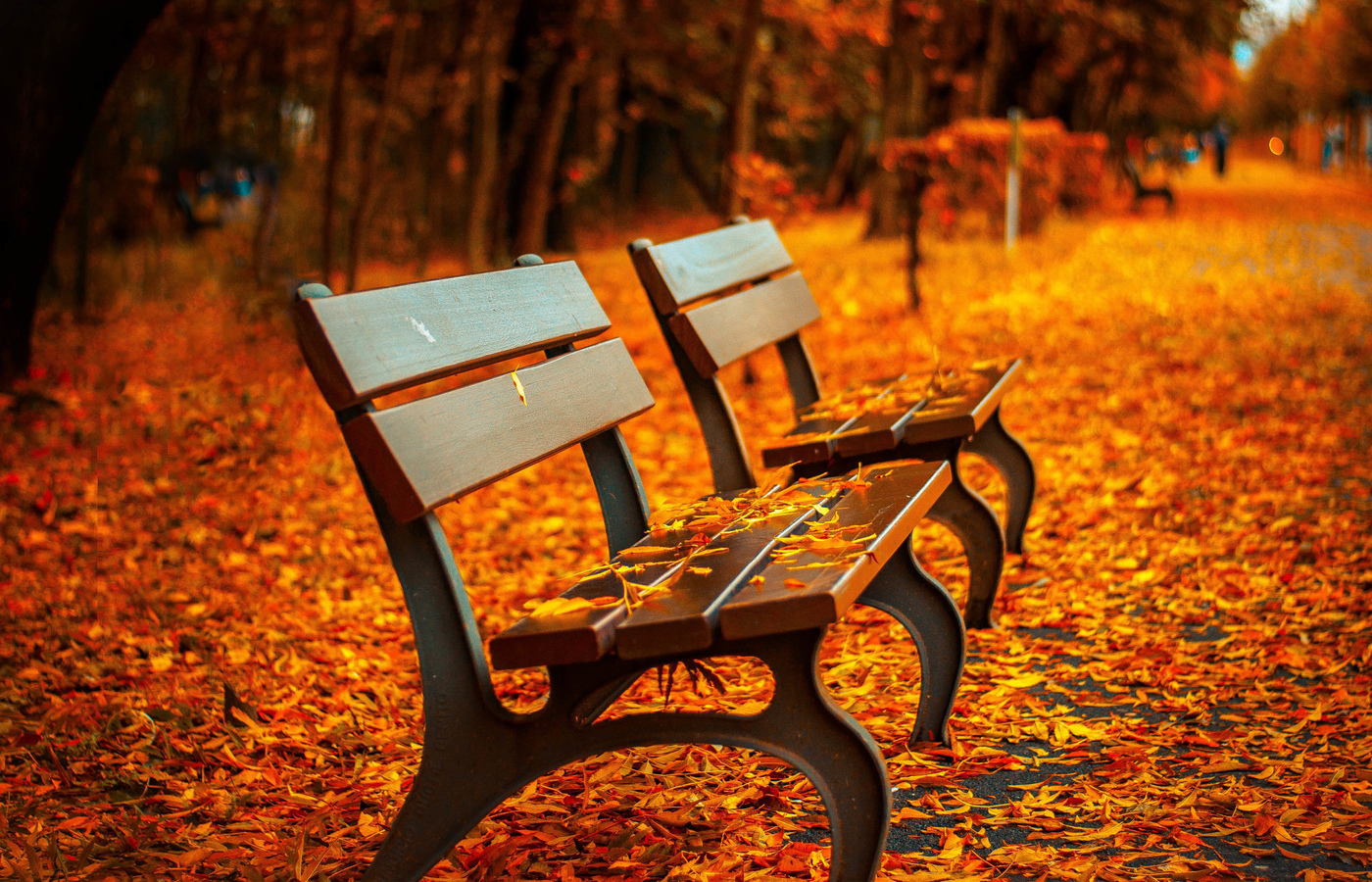 1400x900 Autumn Leaves Bench 1400x900 Resolution HD 4k Wallpapers, Image, Backgrounds, Photos and Pictures