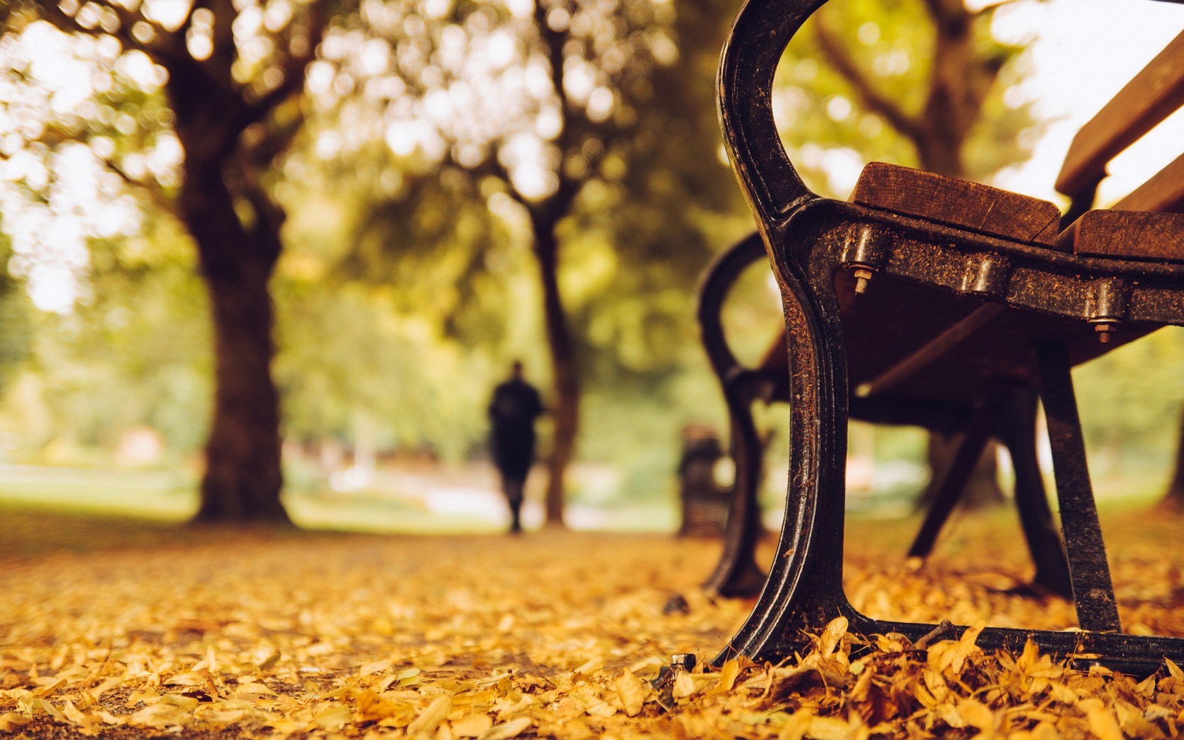 Mood Bench Park Leaves Path Fall Autumn wallpapers