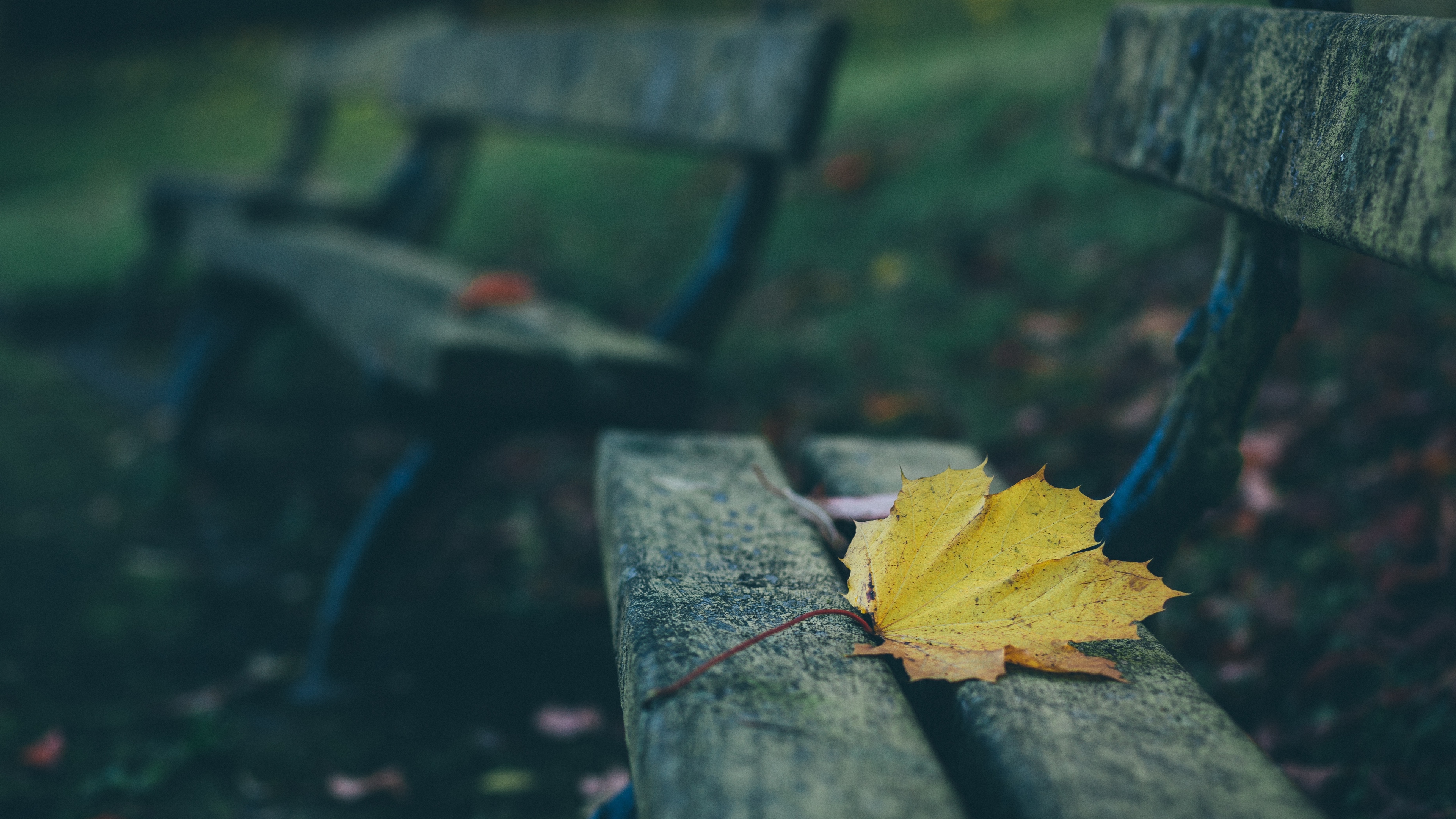Wallpapers 4k leaves, autumn, bench 4k Wallpapers