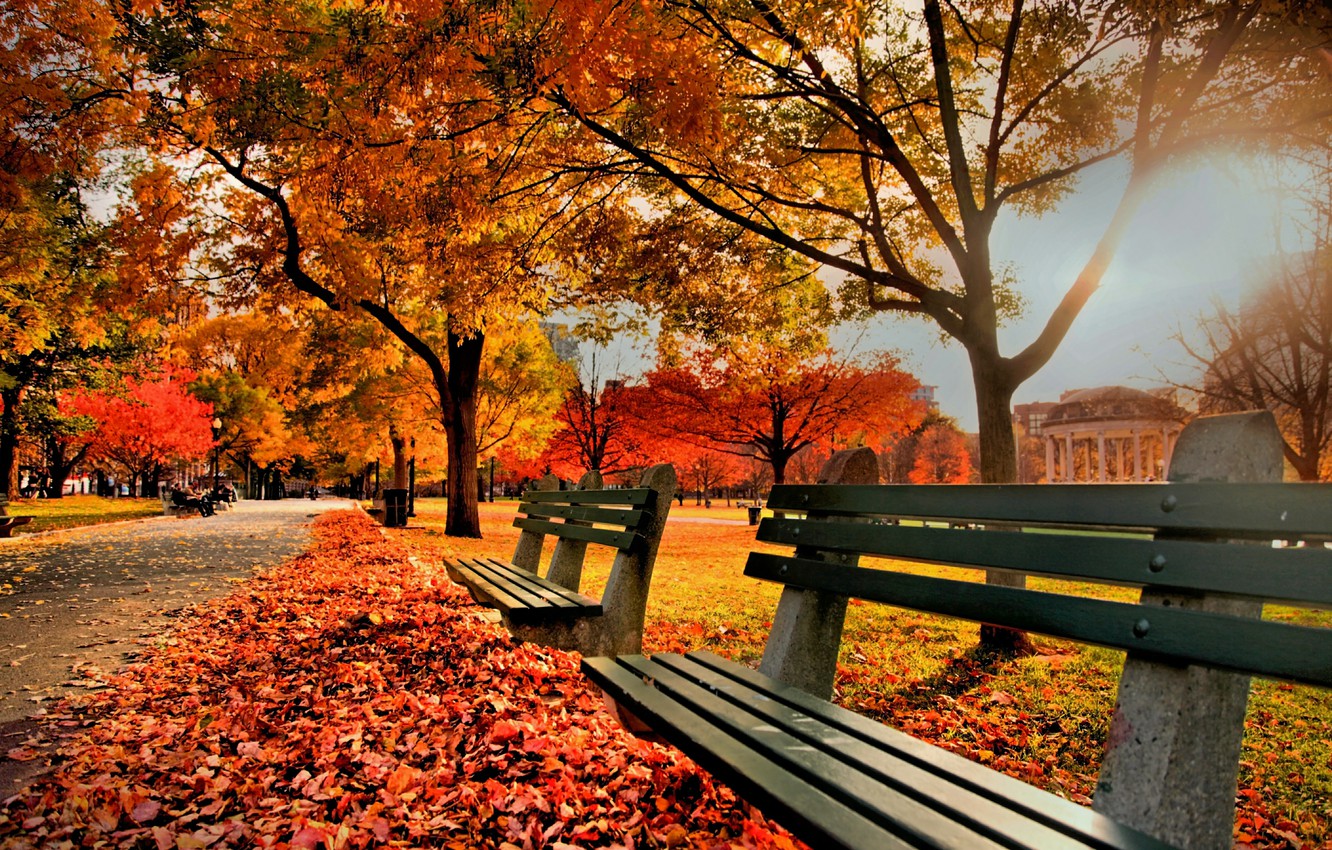 Wallpapers autumn, nature, Park, foliage, Nature, benches, trees, park, autumn, leaves, fall image for desktop, section природа