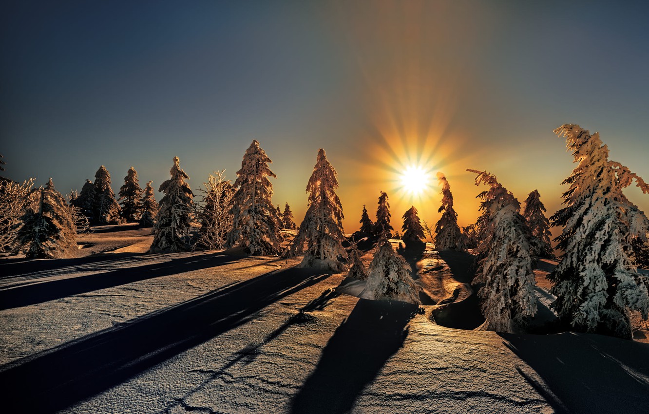 Wallpaper winter, forest, the sky, the sun, rays, light, snow, sunset, bright, nature, view, the evening, ate, slope, lighting, contrast image for desktop, section пейзажи