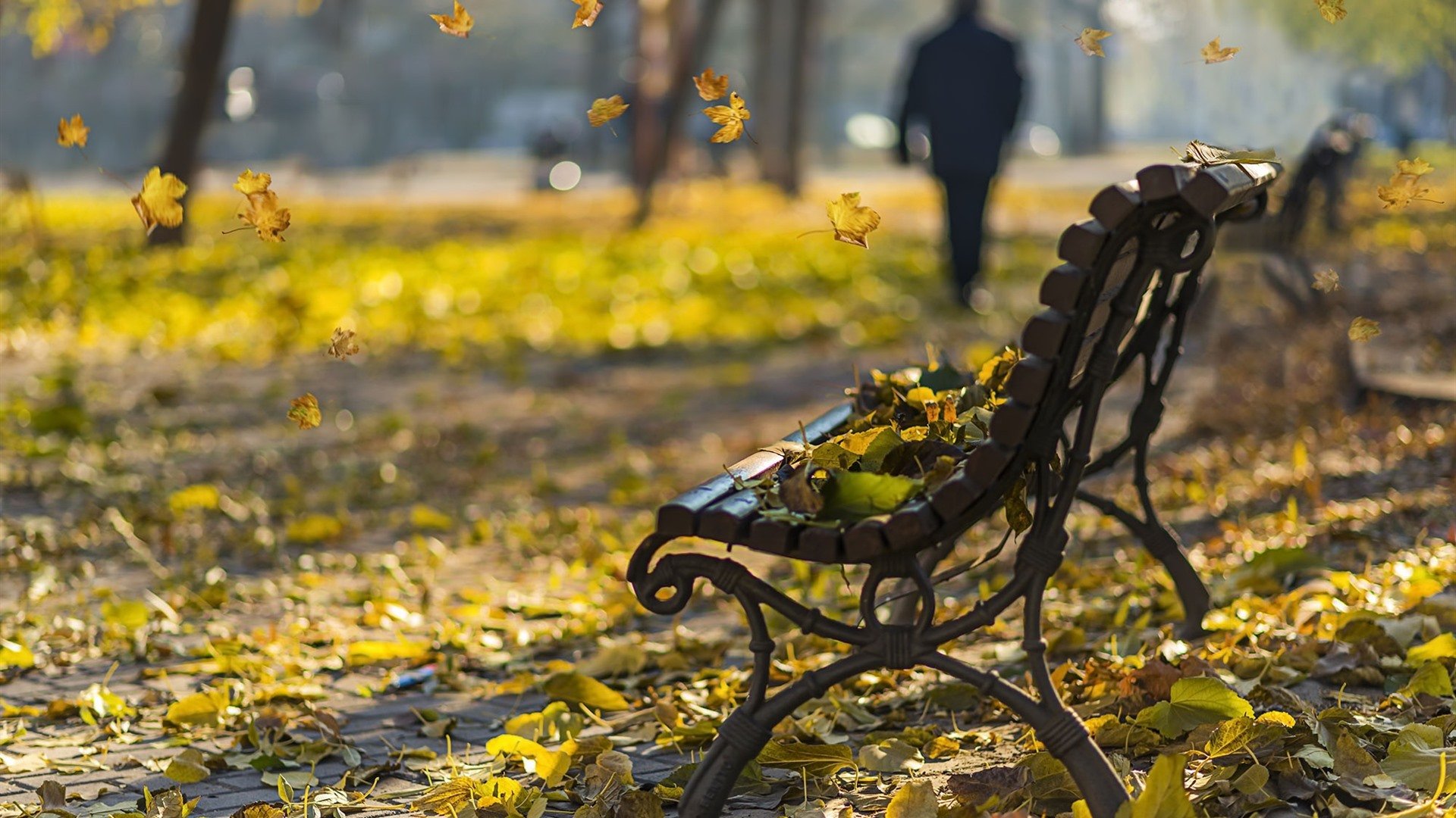 Park, leaves, bench, autumn 640x1136 iPhone 5/5S/5C/SE wallpaper, background, picture, image