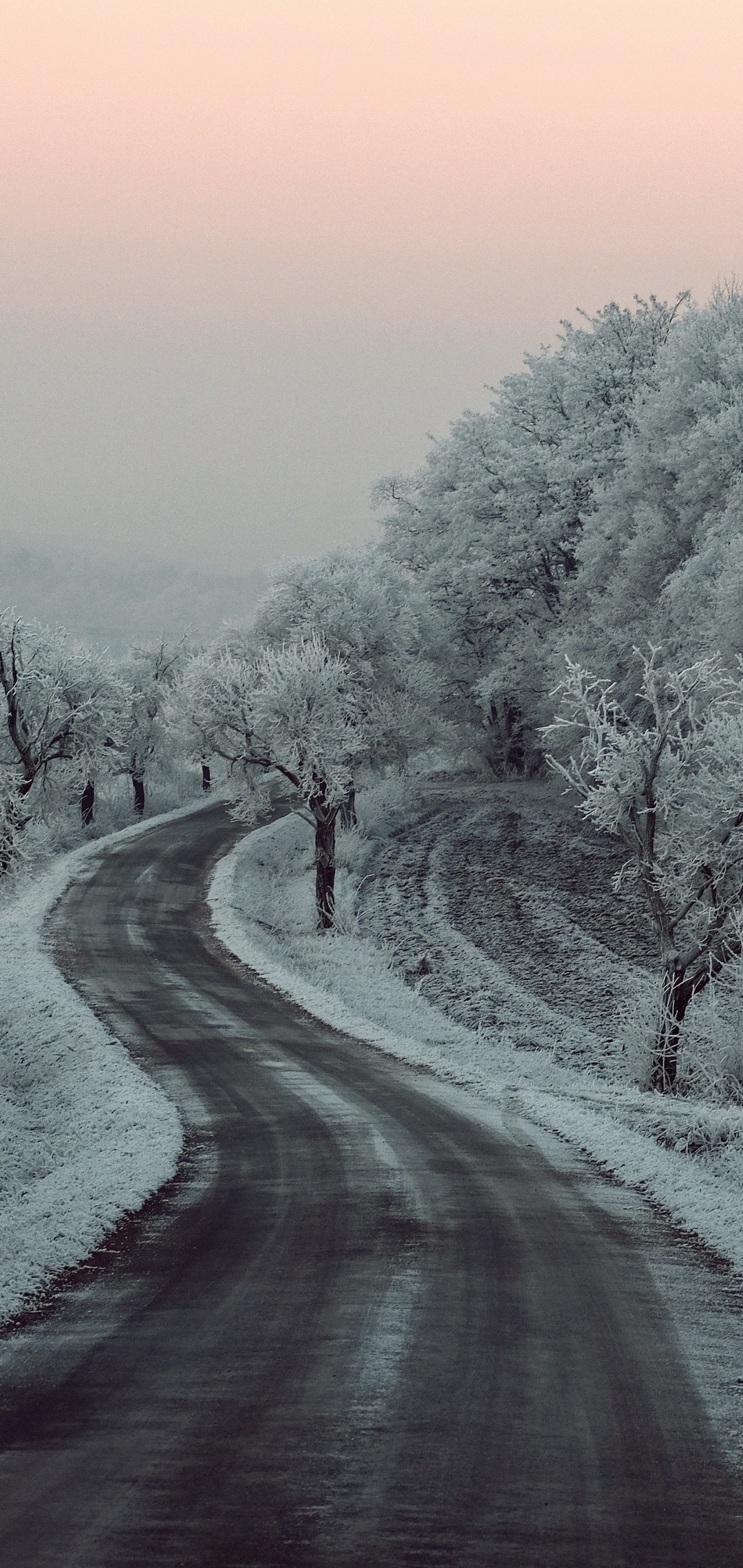 Winter Road Snow Frozen Trees On Sides 5k One Plus Huawei p Honor view Vivo y Oppo f Xiaomi Mi A2 HD 4k Wallpaper, Image, Background, Photo and Picture