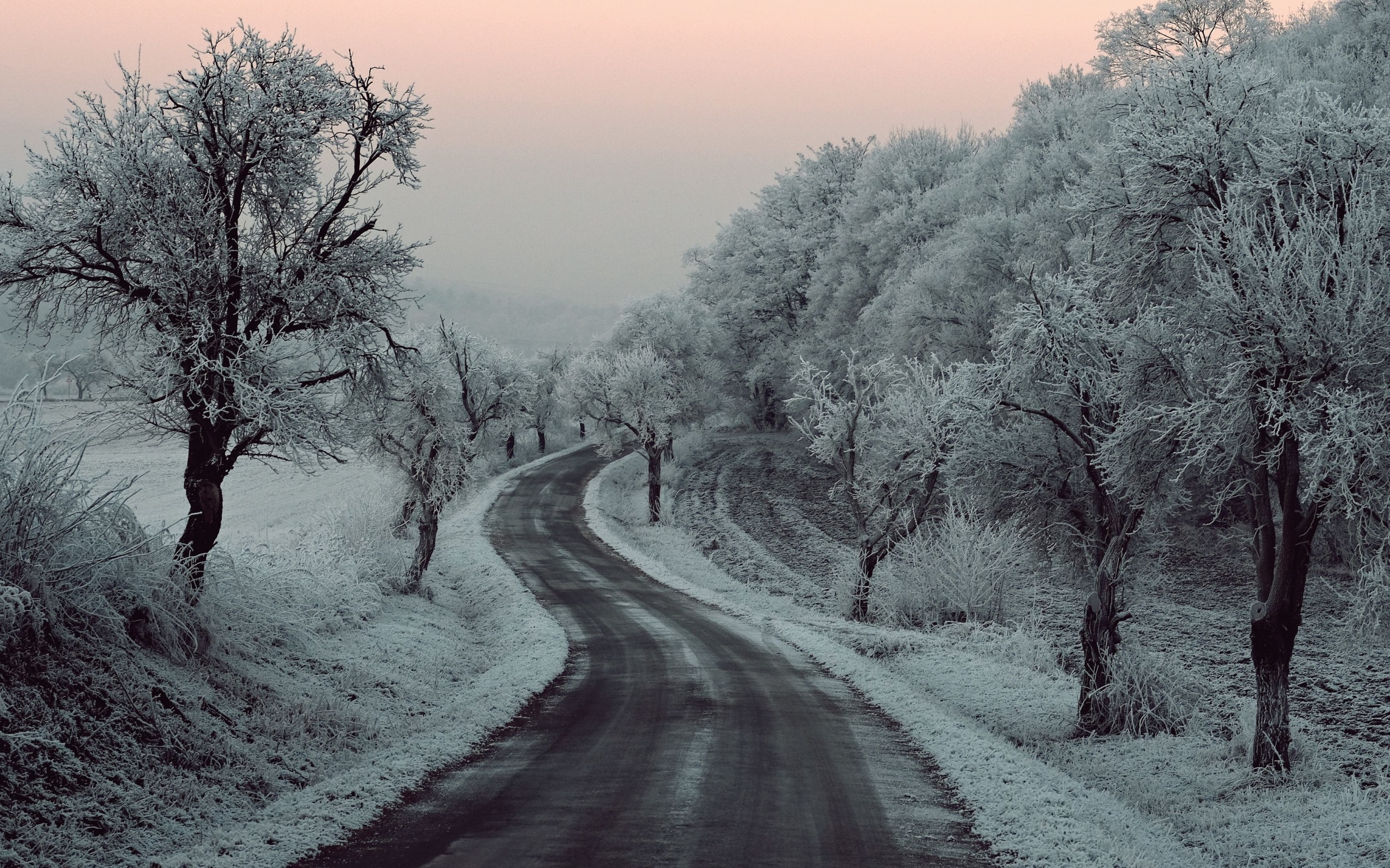 Wallpapers 4k Winter Road Snow Frozen Trees On Sides 5k Wallpapers
