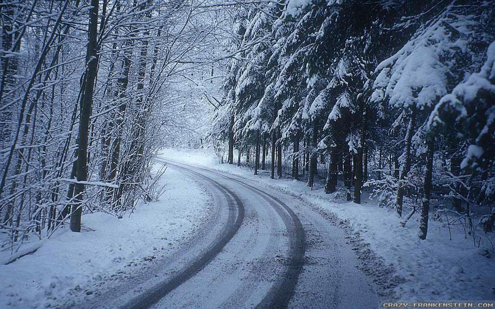 Winter road in the forest,