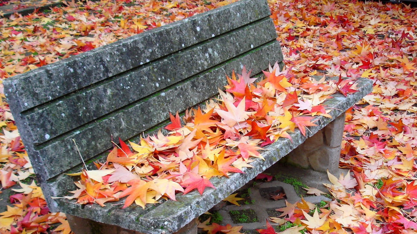 Autumn Leaves Wallpapers and Backgrounds Image