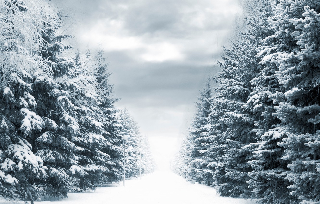 Wallpapers winter, road, snow, trees, lights, Winter way image for desktop, section пейзажи