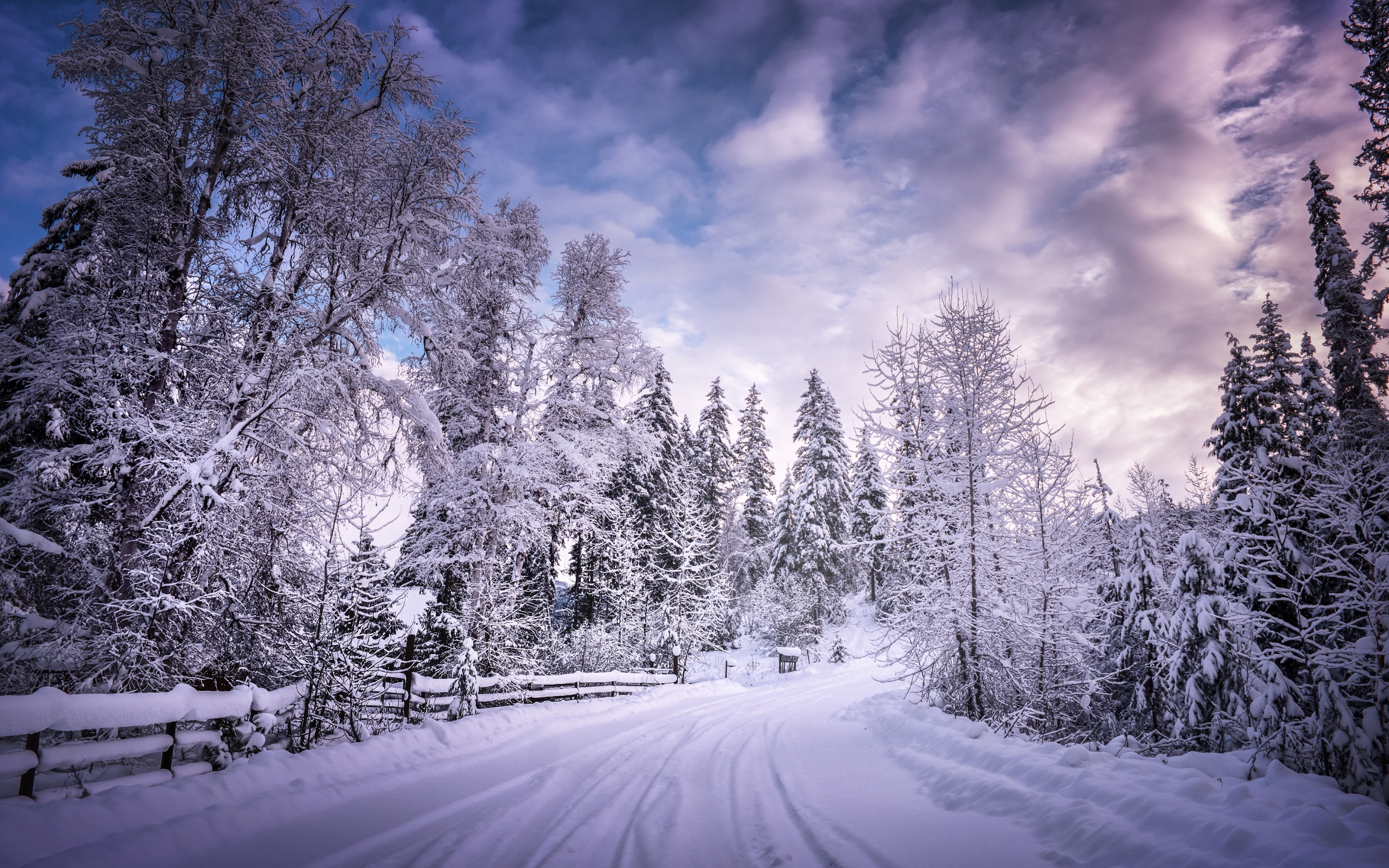 Snowy Trees Wallpapers 4K, Winter Road, Snow covered, Countryside, Woods, Nature,