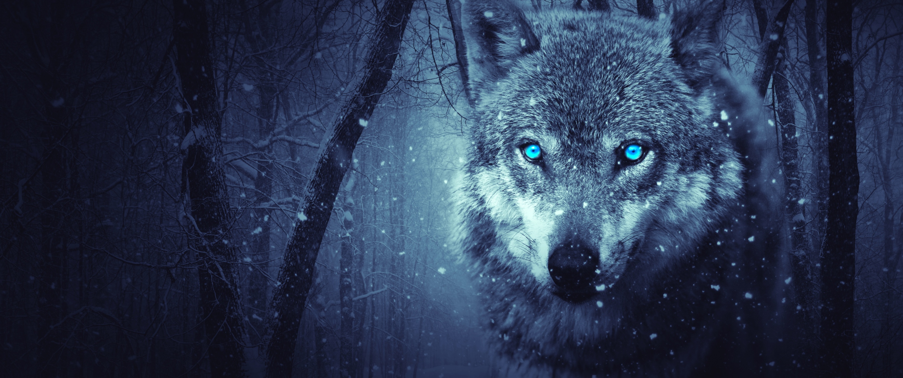 Wolf Wallpaper 4K, Blue eyes, Snowfall, Winter, Night, Forest, 5K, Animals
