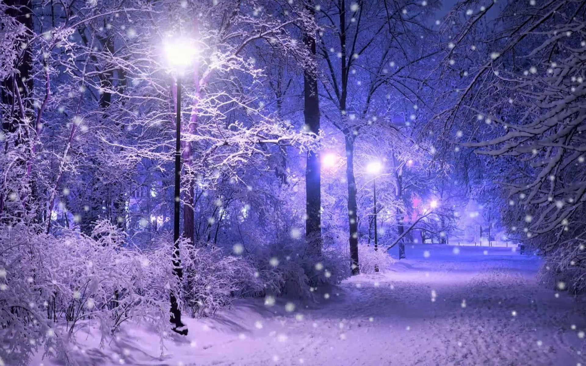 Wallpaper Nature Art Street Light, Snow, Snowing, Winter • Wallpaper For You HD Wallpaper For Desktop & Mobile