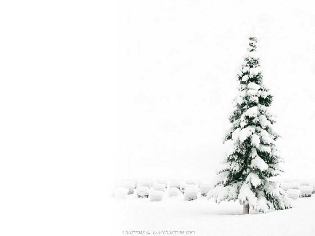 Snowy Christmas TreePicture. Christmas wallpaper hd, Christmas desktop, Christmas tree wallpaper