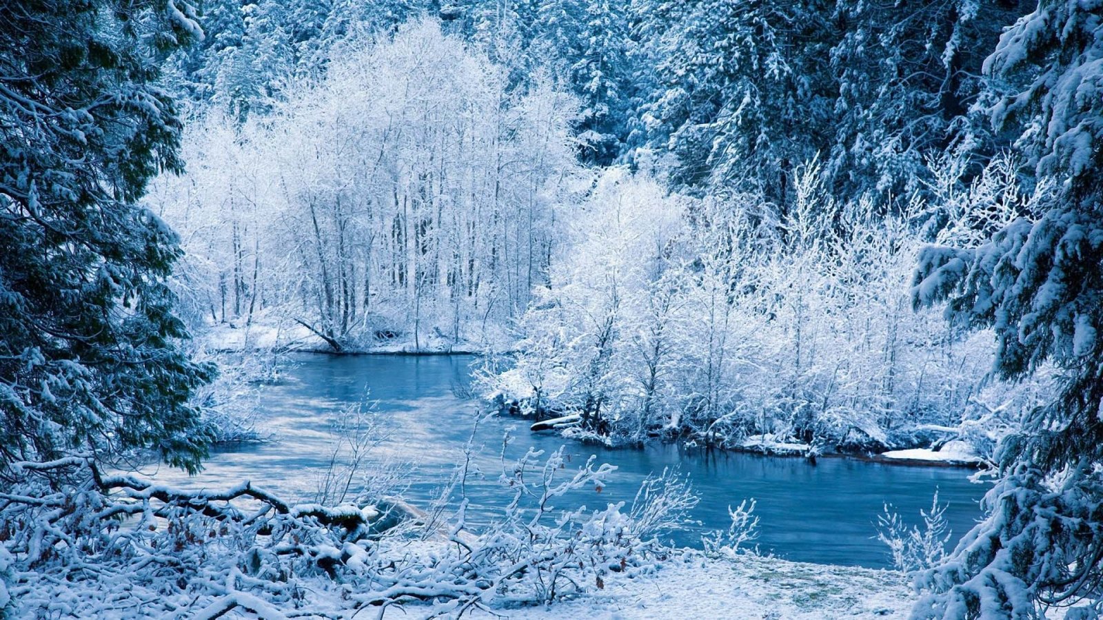 Winter Wallpaper
