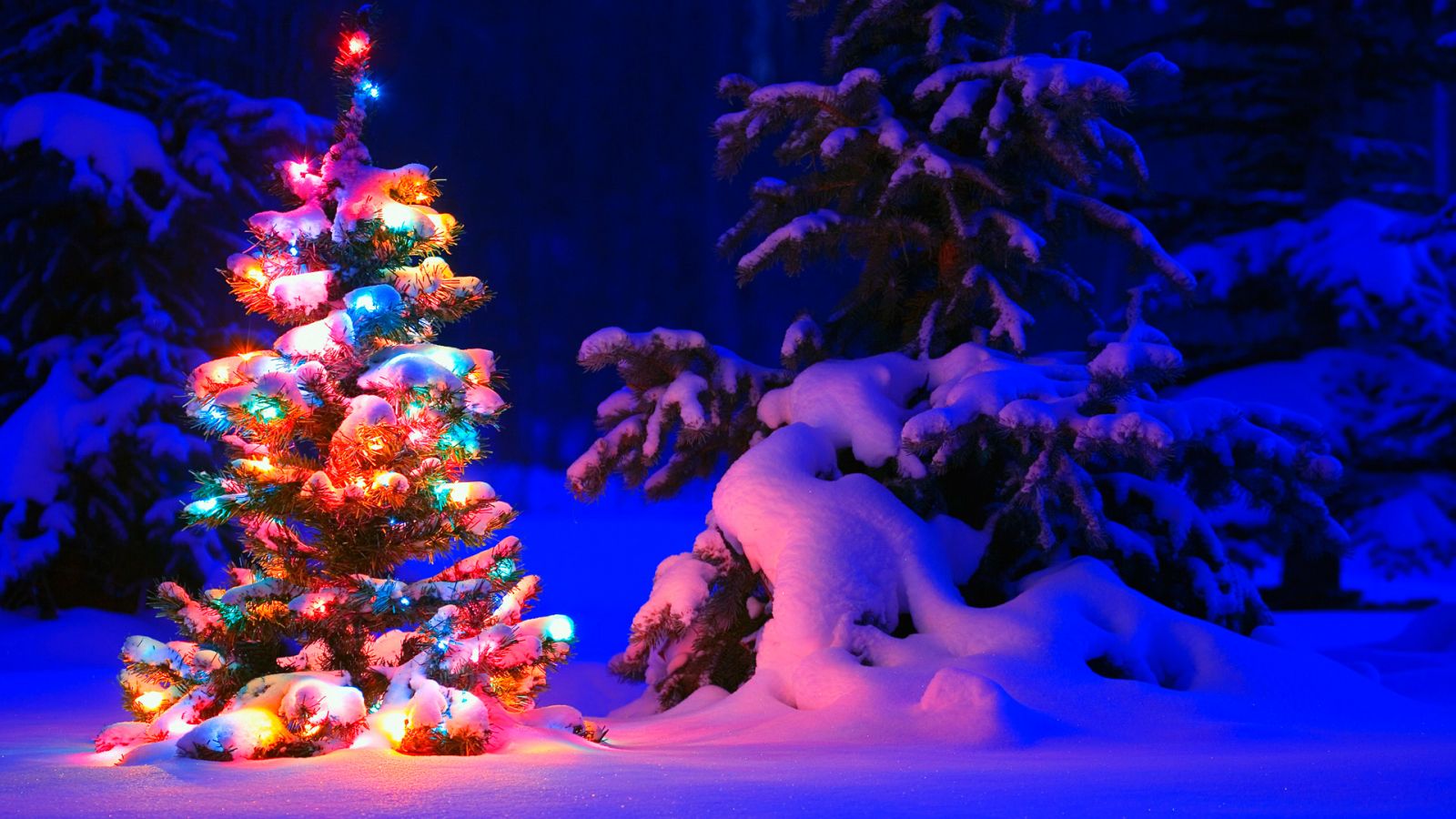 Snowy Christmas Tree Lights wallpaper in 1600x900 resolution