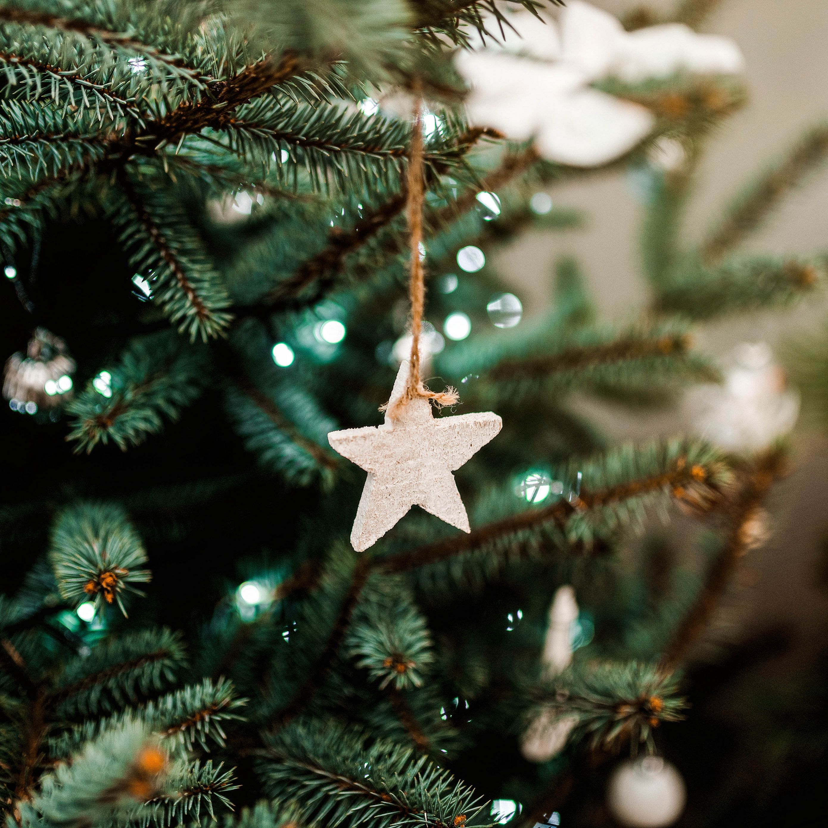 Download wallpaper 2780x2780 christmas tree, star, decoration, new year, christmas ipad air, ipad air ipad ipad ipad mini ipad mini ipad mini ipad pro 9.7 for parallax HD background