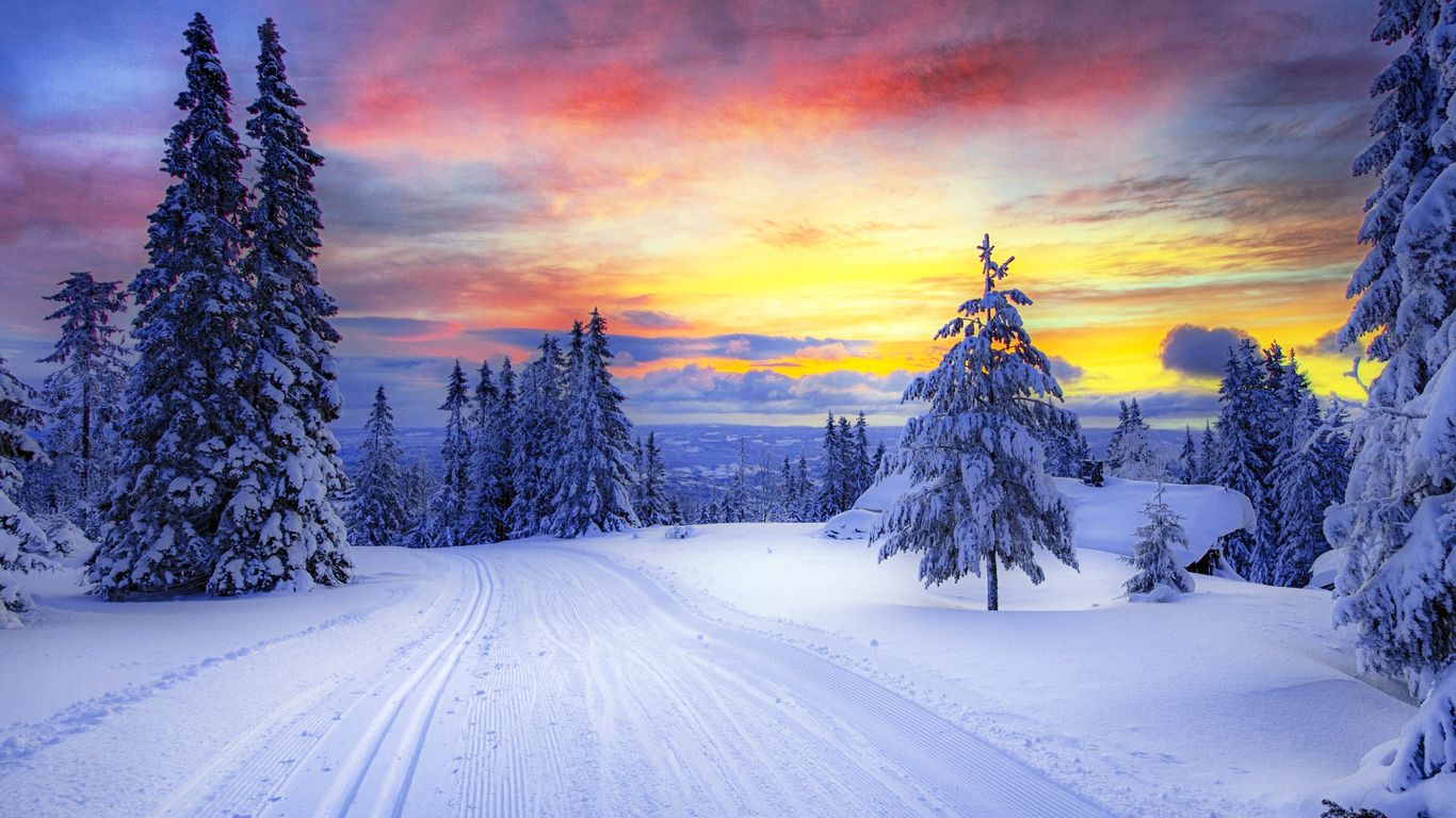 Download wallpaper 1366x768 norway, winter, forest, snow, trees tablet, laptop HD background