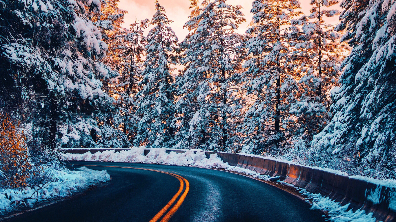 Download 1366x768 wallpaper nature, winter, forest, road, tablet, laptop, 1366x768 HD image, background, 23259
