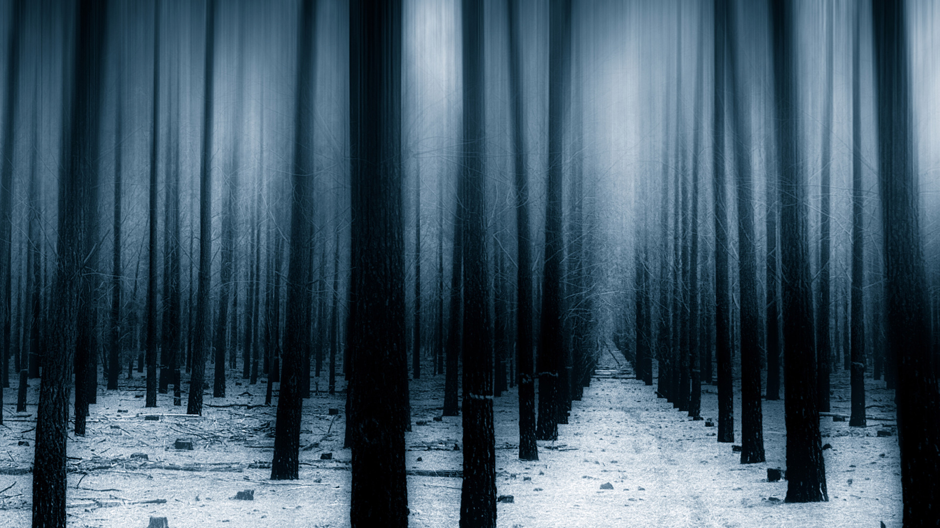 Dark Forest Woods Snow Winter 8k Laptop Full HD 1080P HD 4k Wallpaper, Image, Background, Photo and Picture