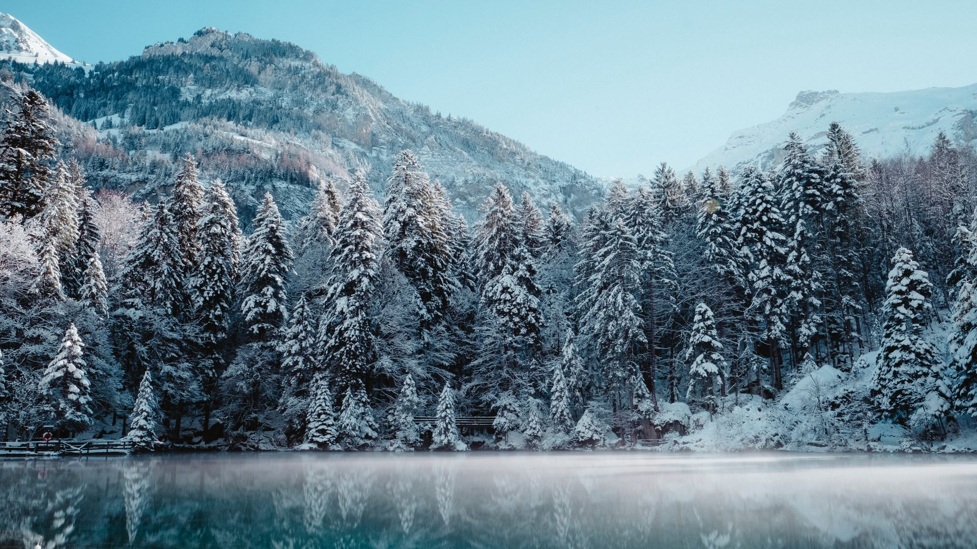 Wallpaper, Switzerland, winter, reflection, forest 1920x1080