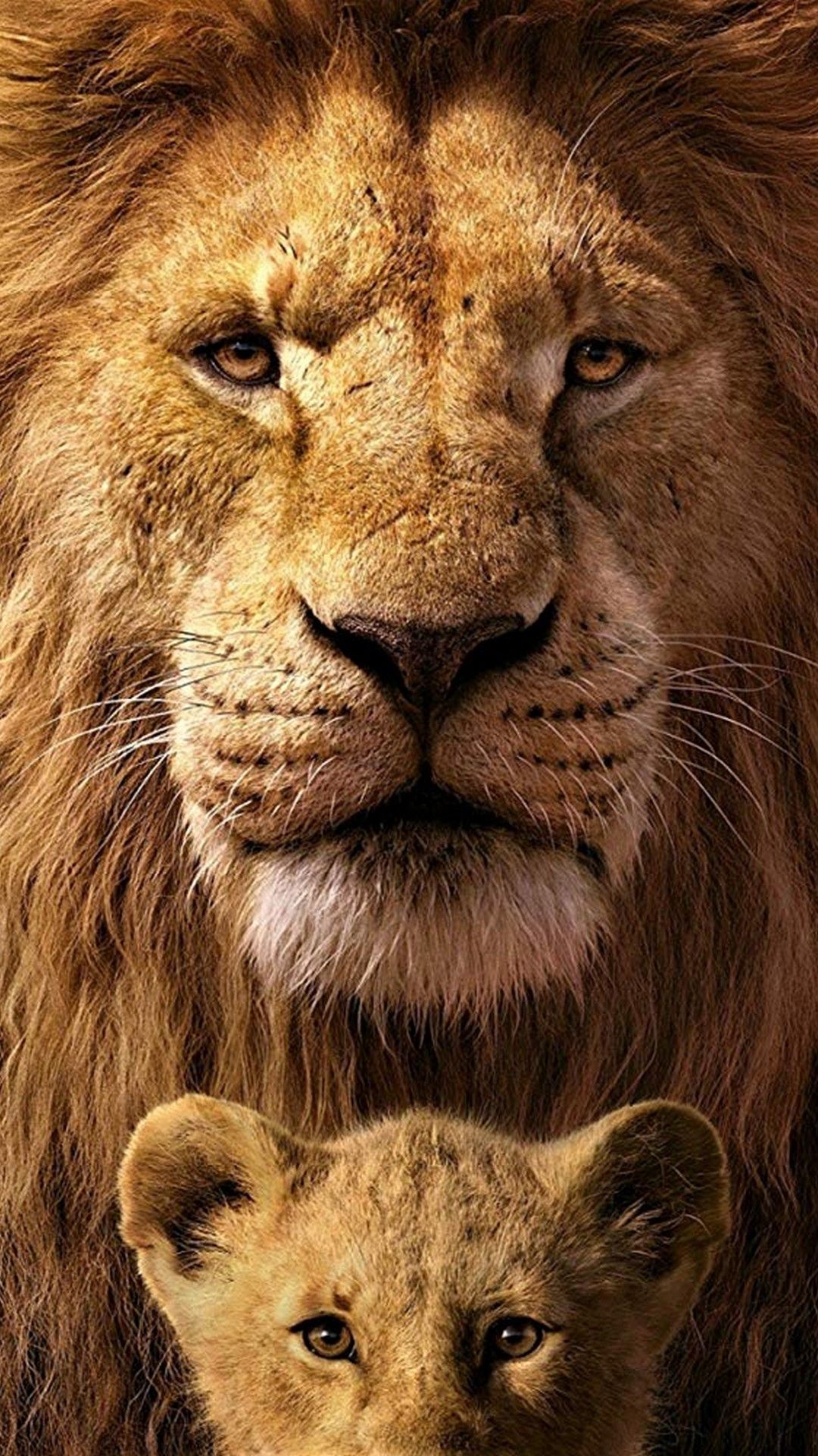 Lion And Family Wallpapers - Wallpaper Cave