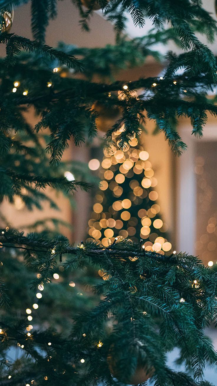 Christmas Tree Wallpaper