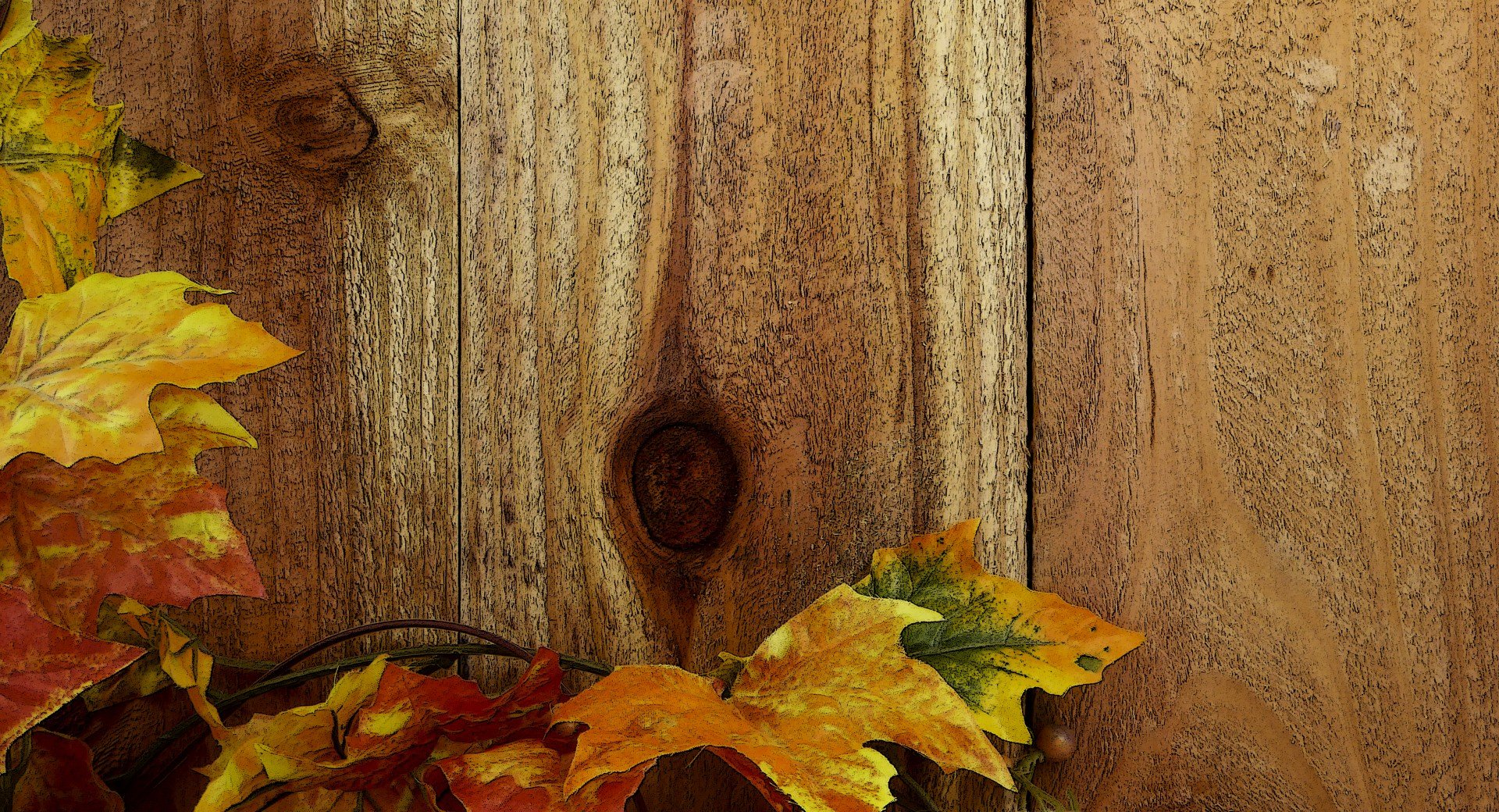 Fence & Fall Leaves Background,free Pictures, Free