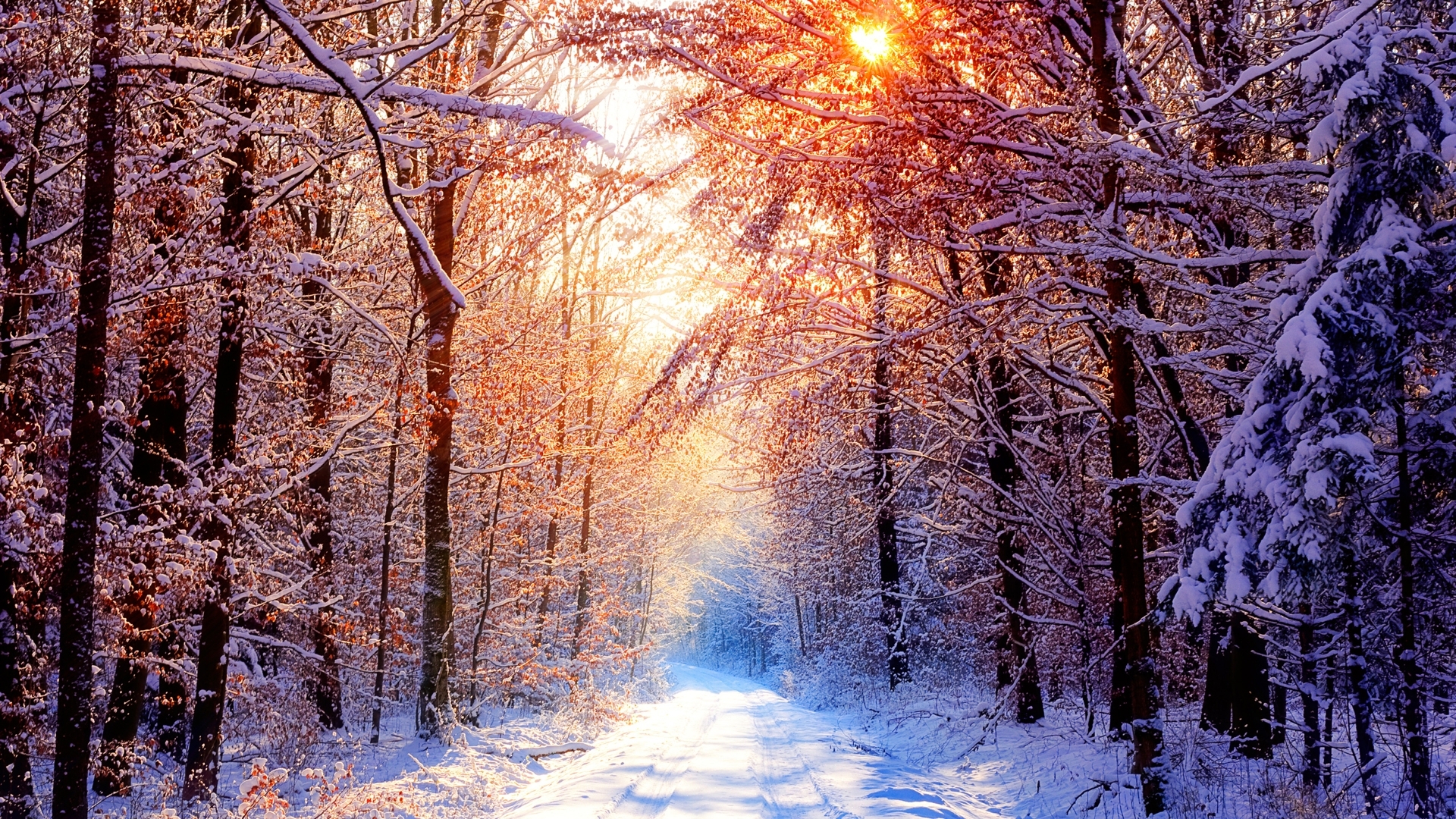 Mùa đông là thời điểm tuyệt vời để trải nghiệm những cảm giác mới lạ, đầy ấn tượng. Hãy đắm mình trong những hình ảnh đầy màu sắc và tuyệt đẹp của mùa đông để tận hưởng niềm vui này.