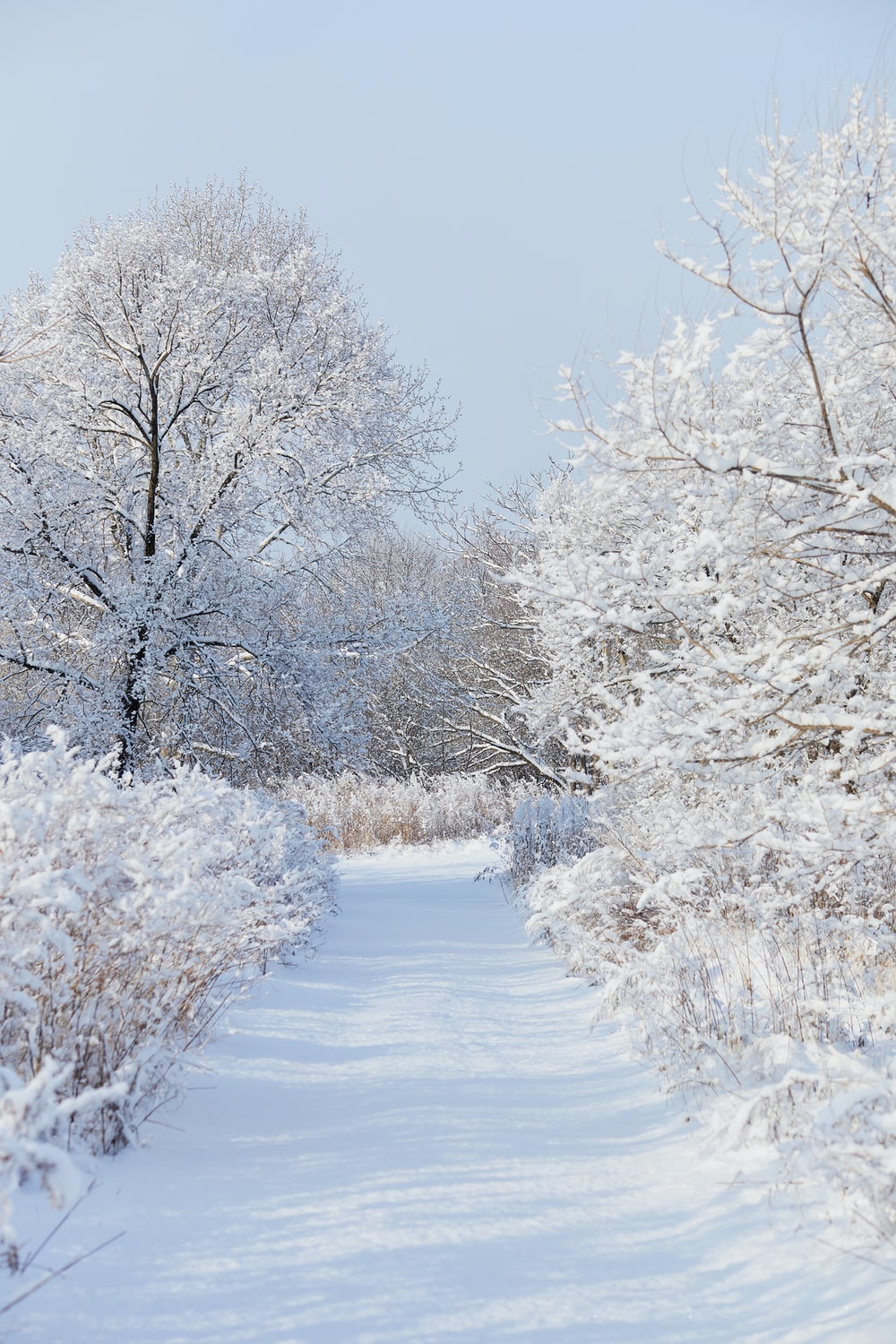 Winter Wallpaper Picture. Download Free Image
