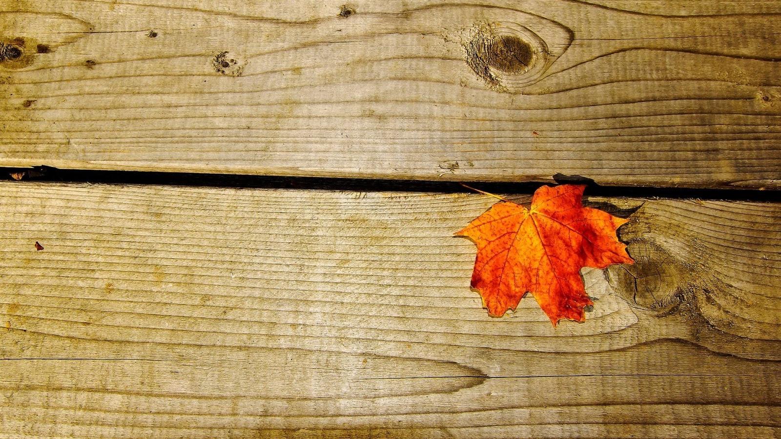 Rusty leaf on a piece of wood